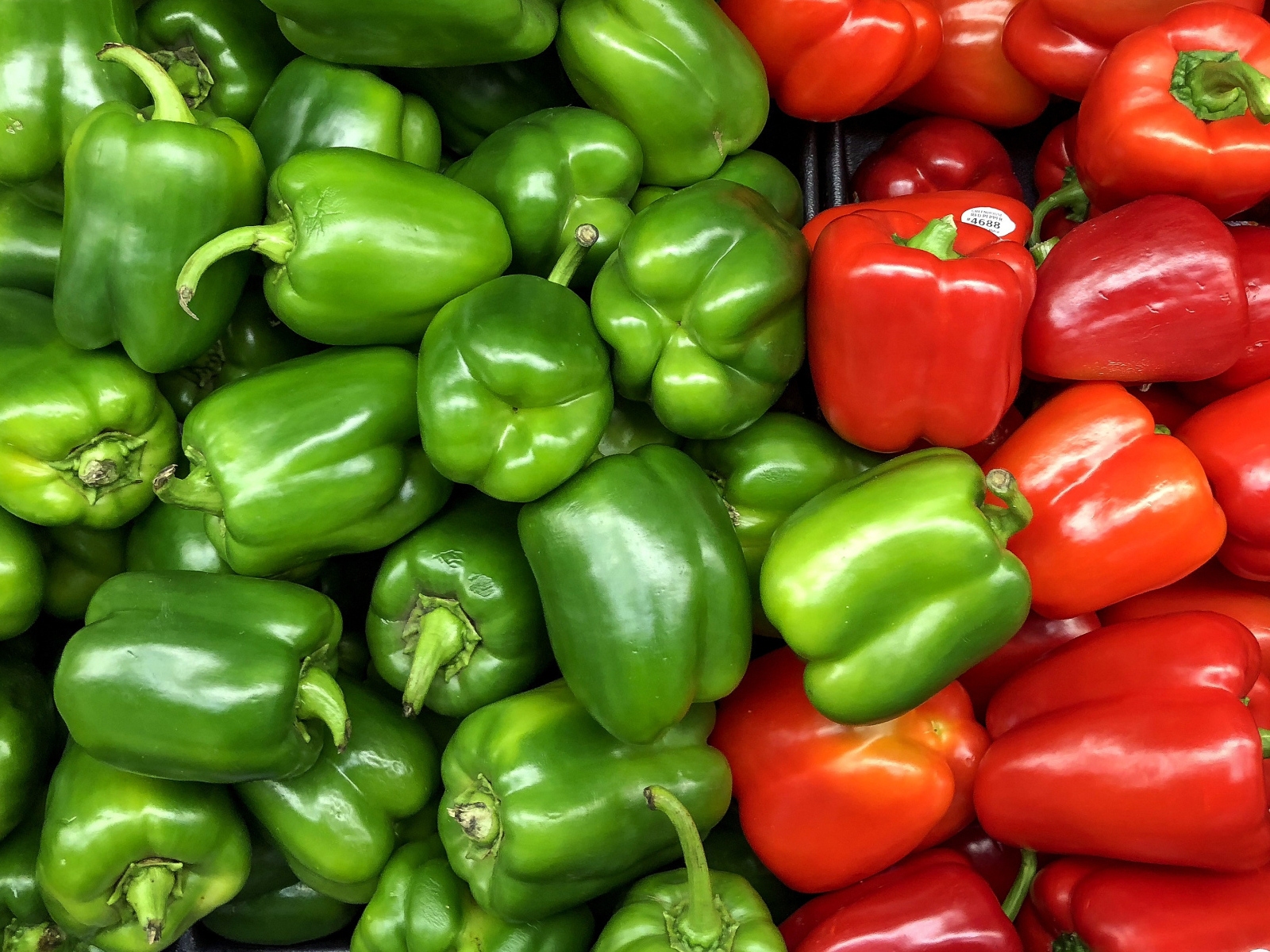 Большой красный и зеленый сладкий перец