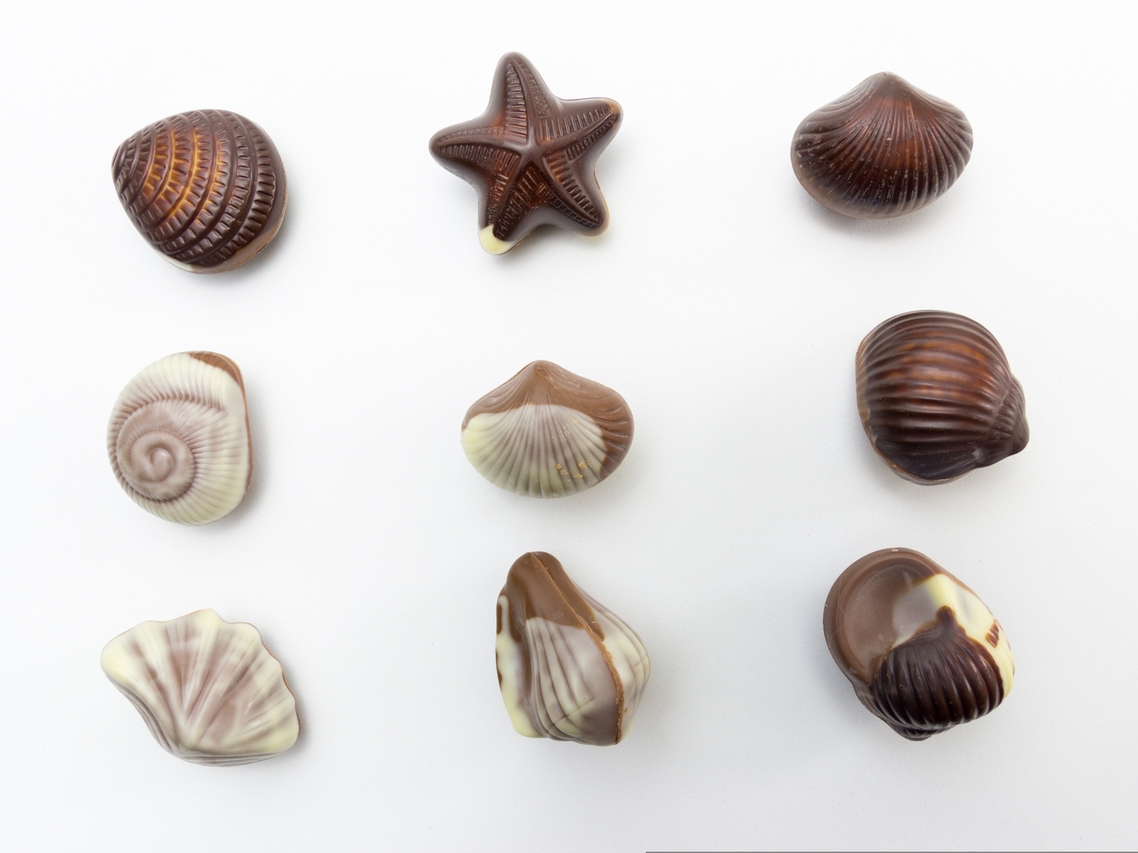 Шоколадные конфеты в форме ракушек на сером фоне
