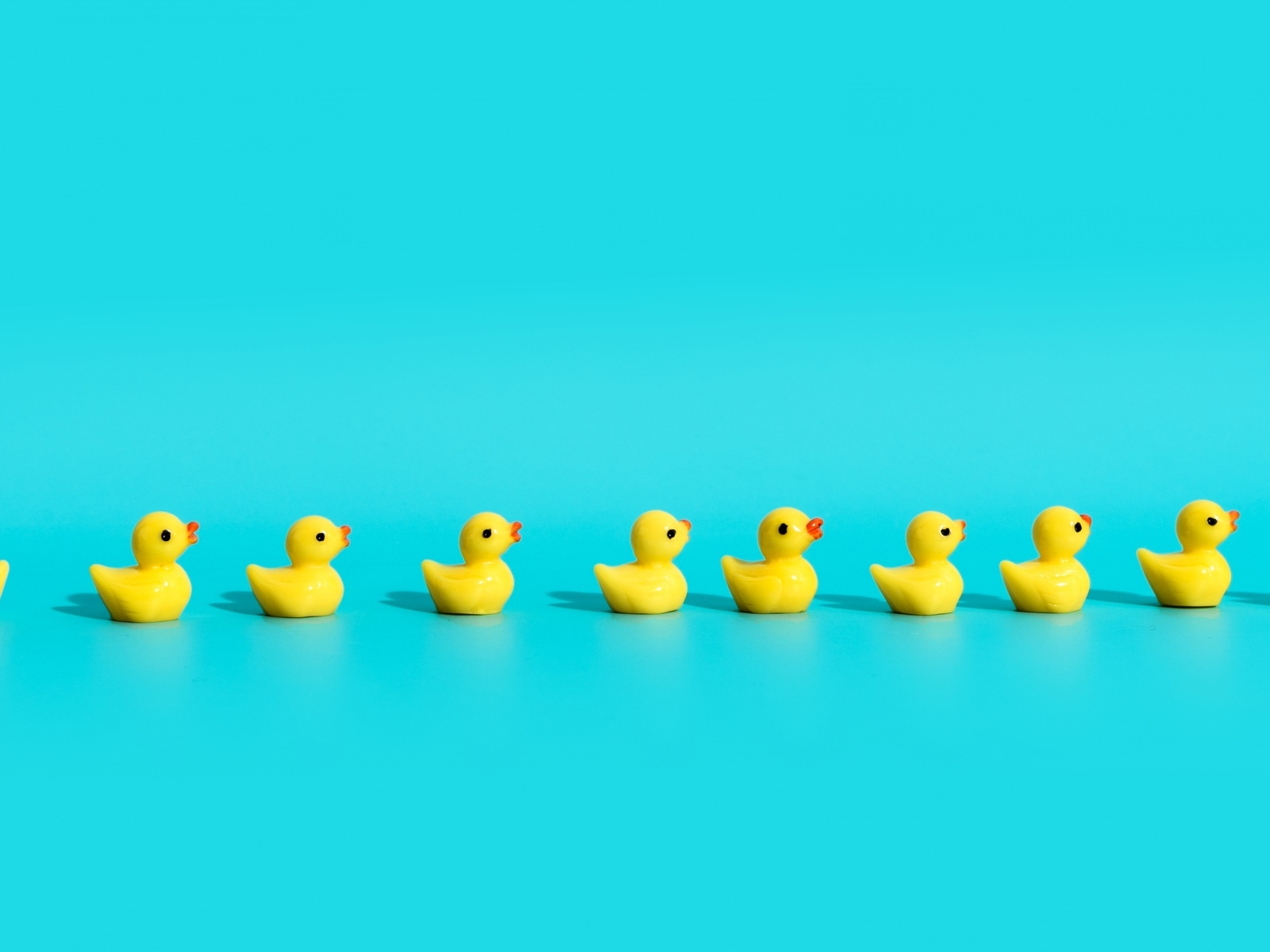 Маленькие игрушечные утята на голубом фоне