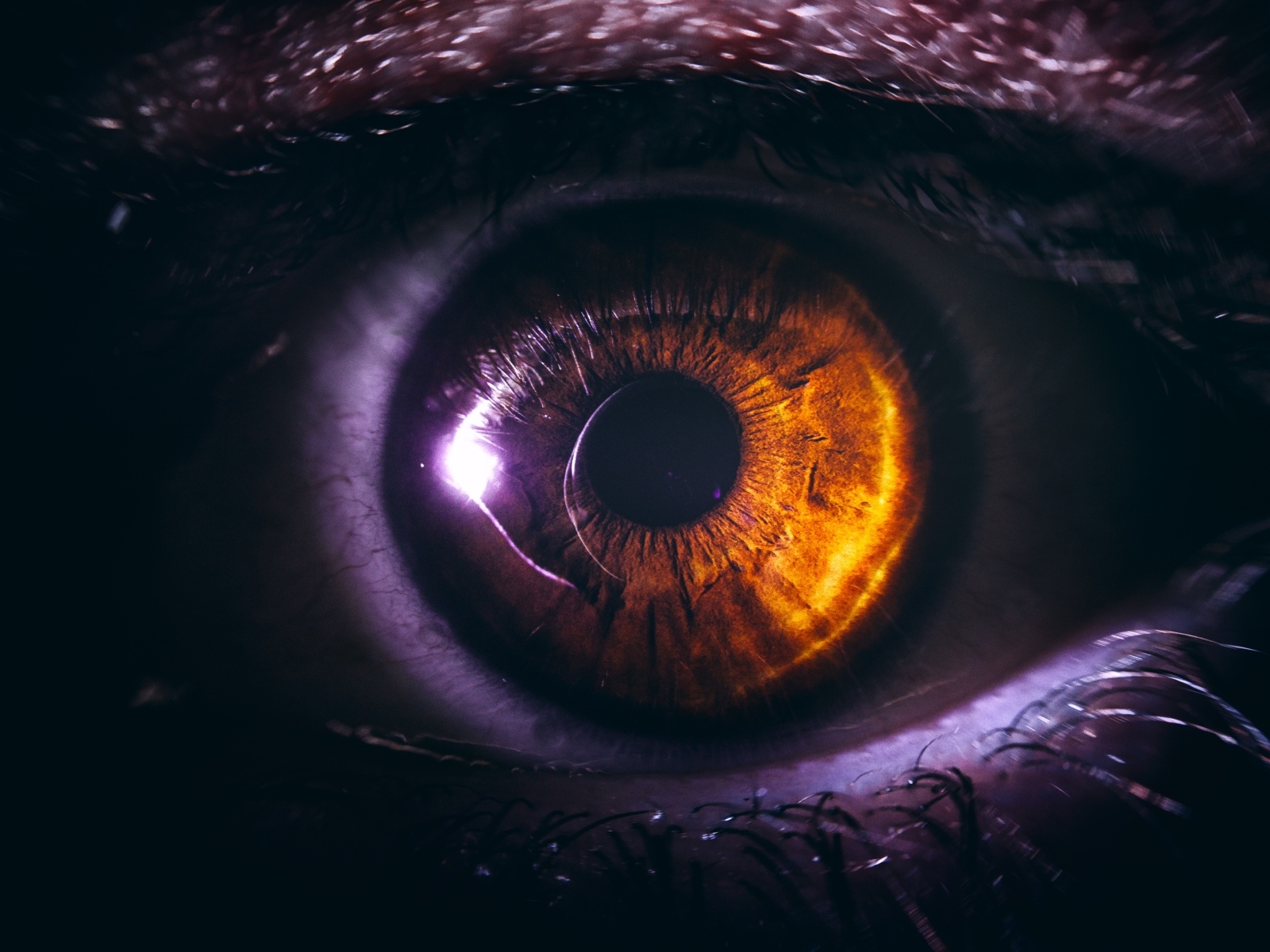 Черный зрачок карего глаза крупным планом