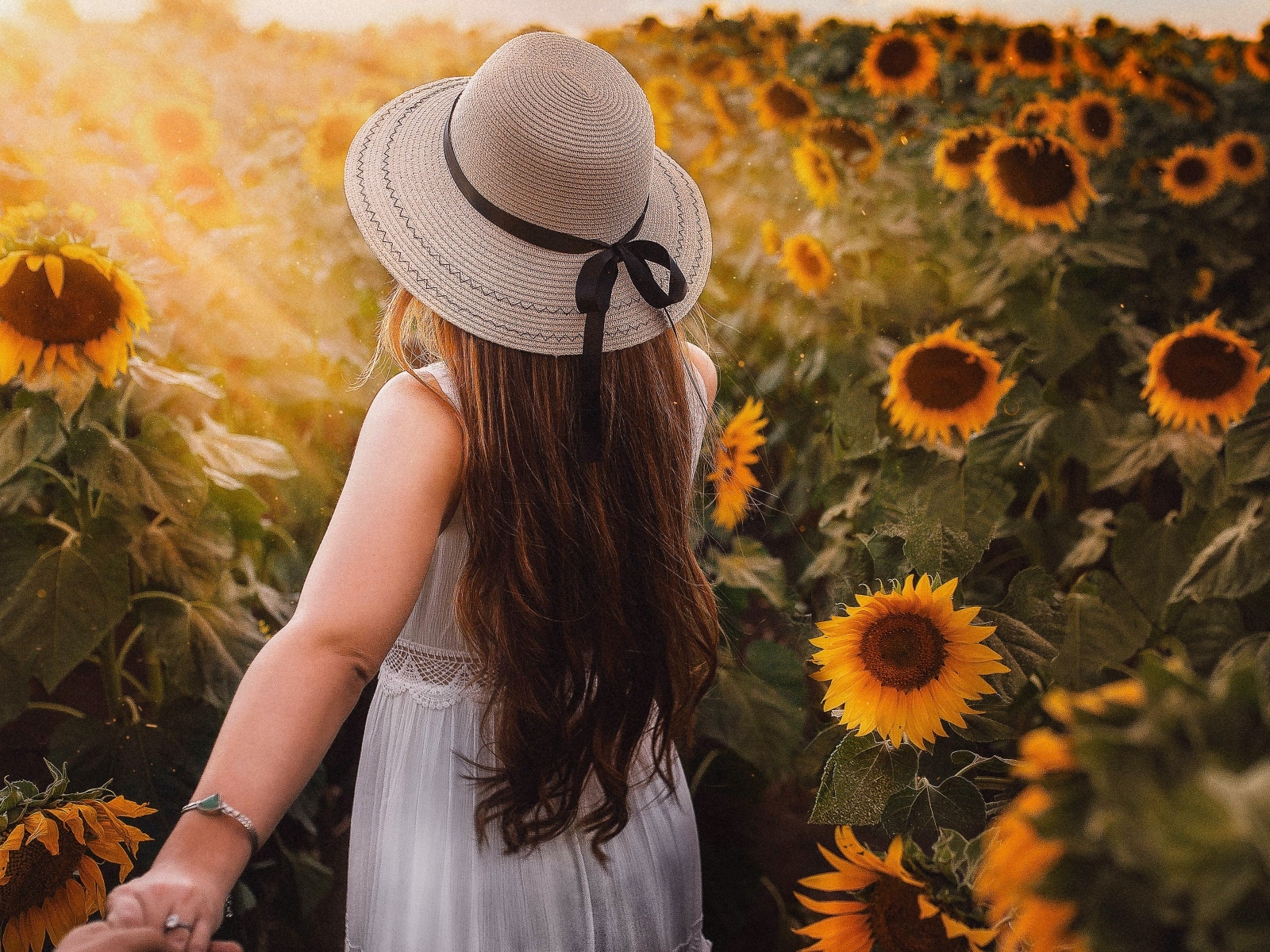 Девушка в белом платье и шляпе идет по полю с подсолнухами