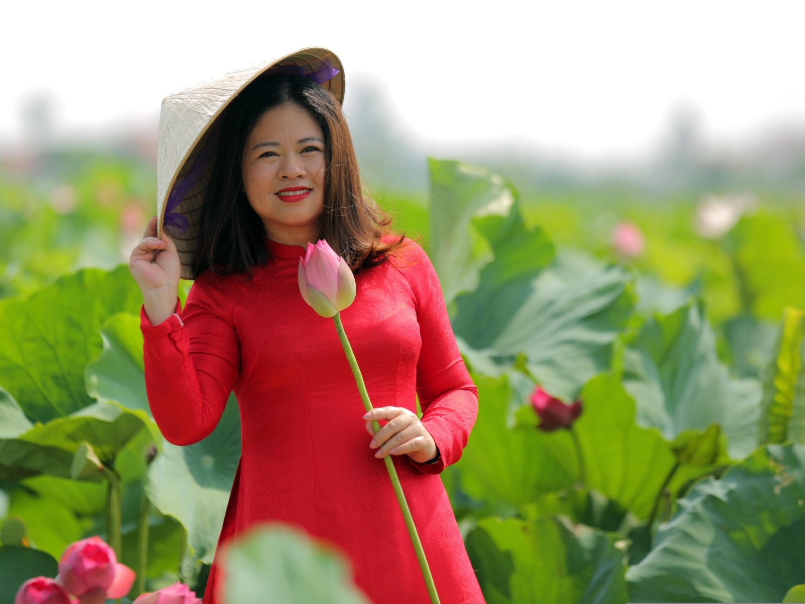 Девушка азиатка в красном платье у цветов лотоса