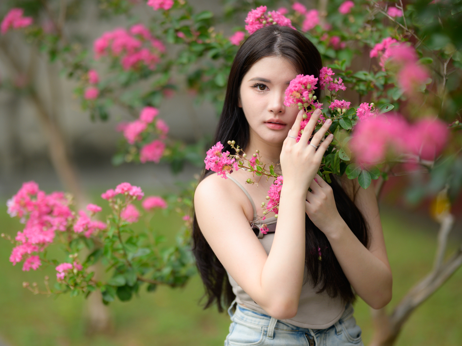 Азиатка закрывает лицо розовыми цветами на дереве