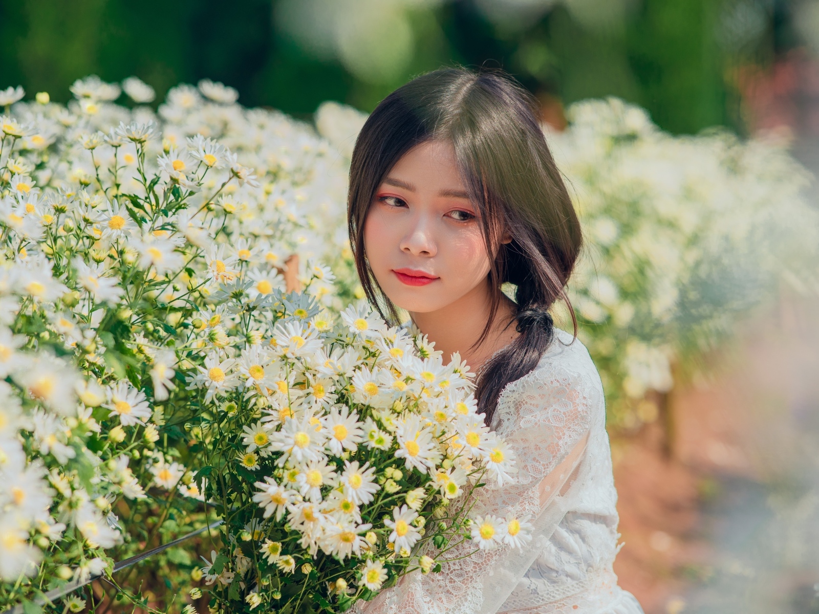 Нежная девушка азиатка с цветами ромашки