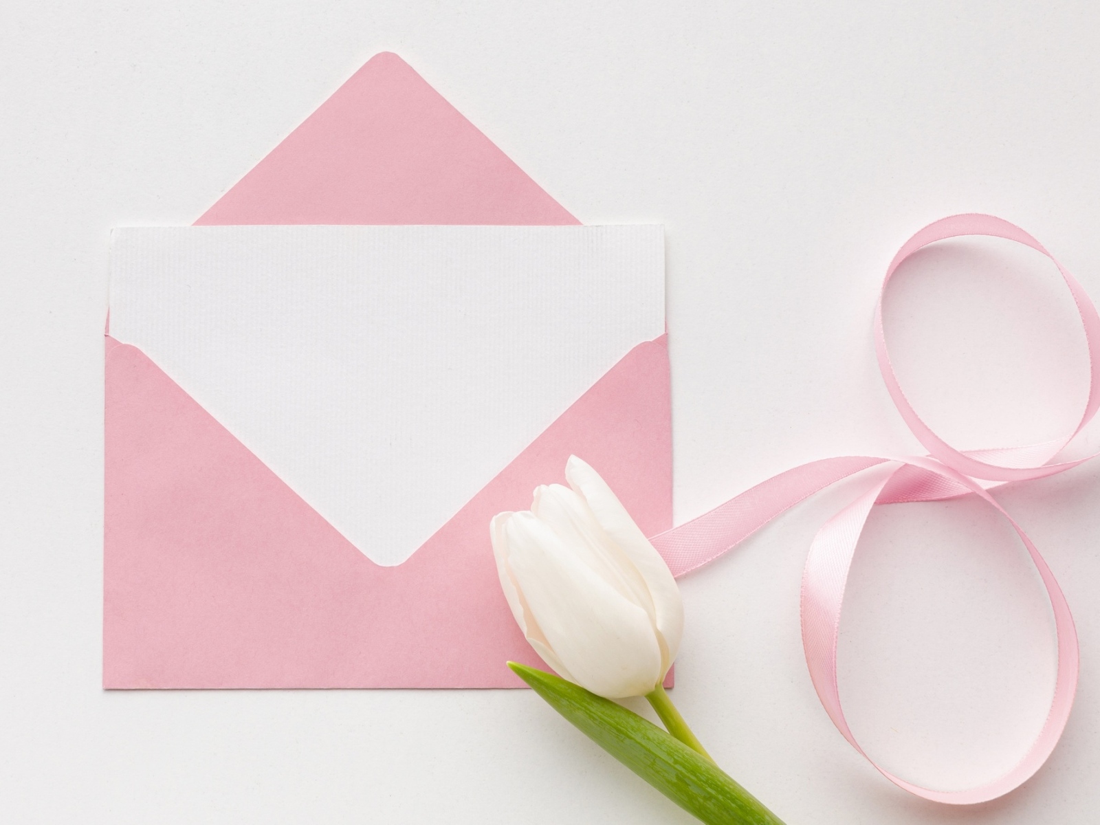 Розовый конверт с письмом и белым тюльпаном на 8 марта