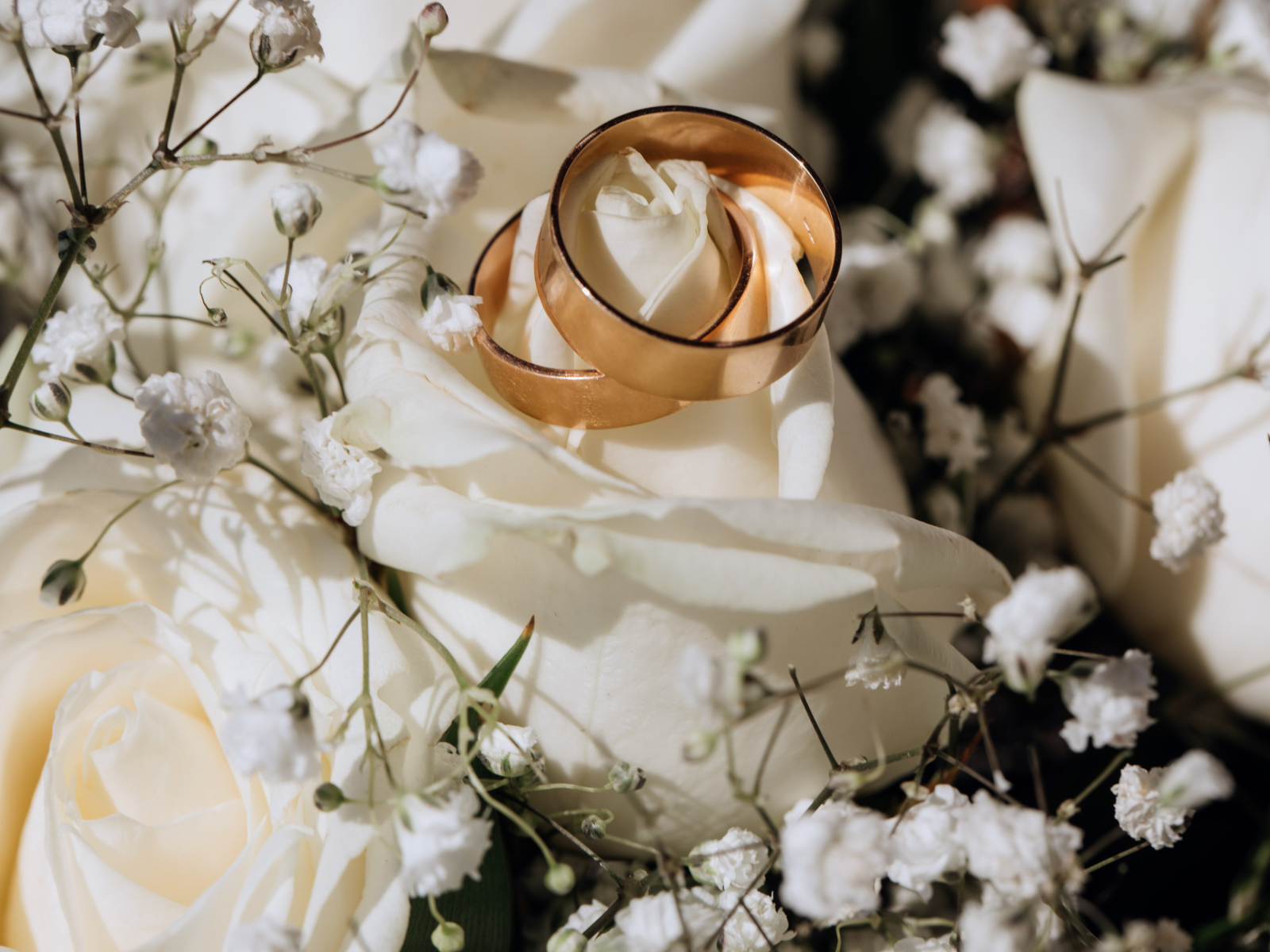 Два золотых обручальных кольца на белых розах 