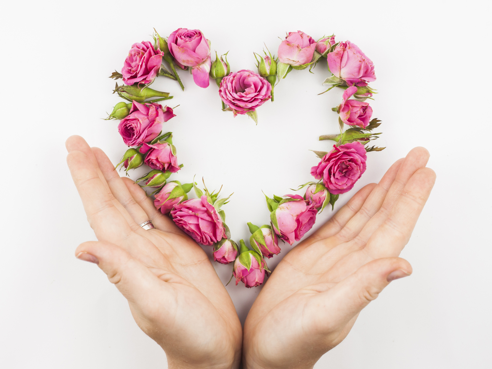 Ладони и сердце из цветов на белом фоне