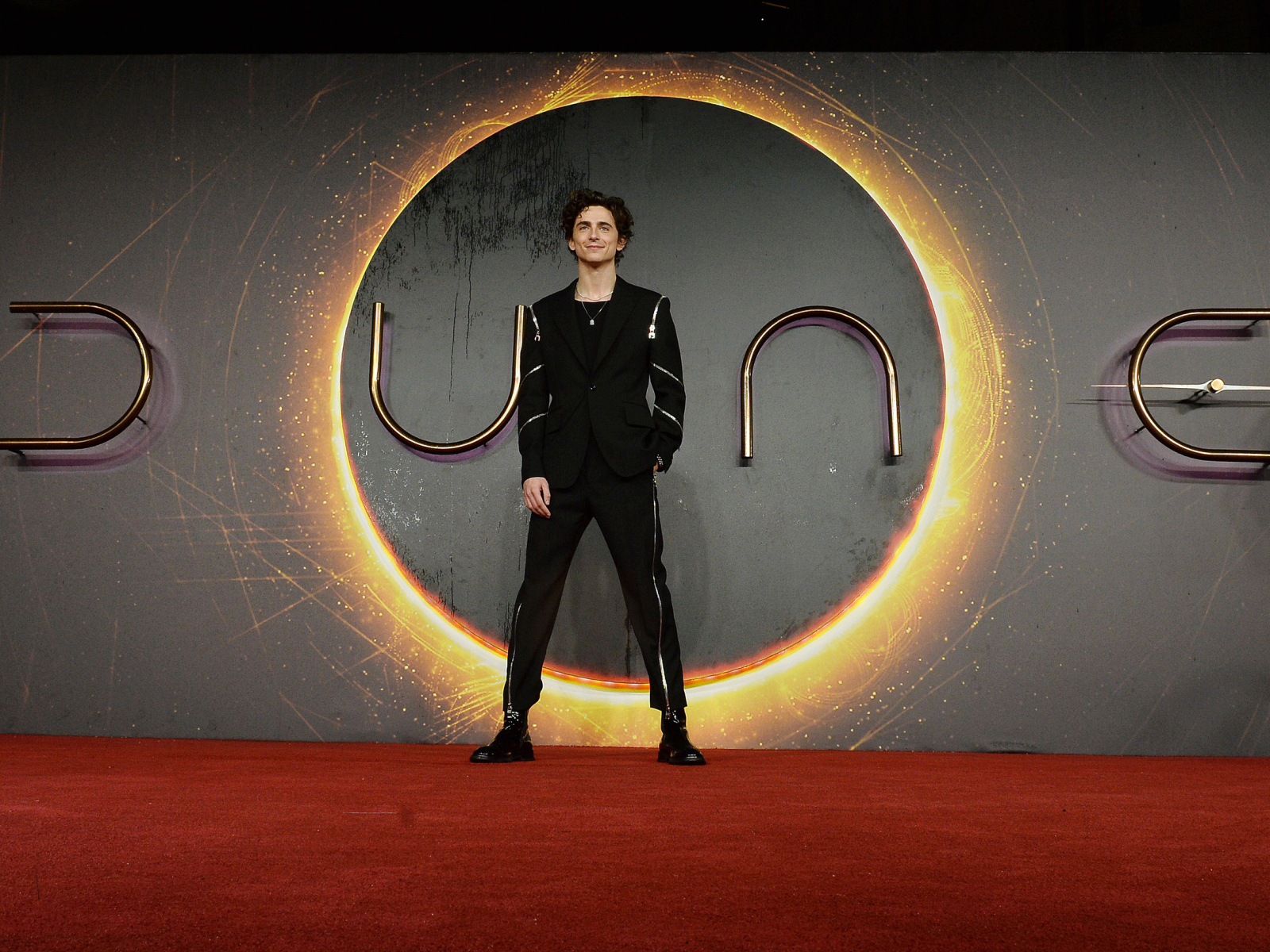 Актер Тимоти Шаламе на фоне стены