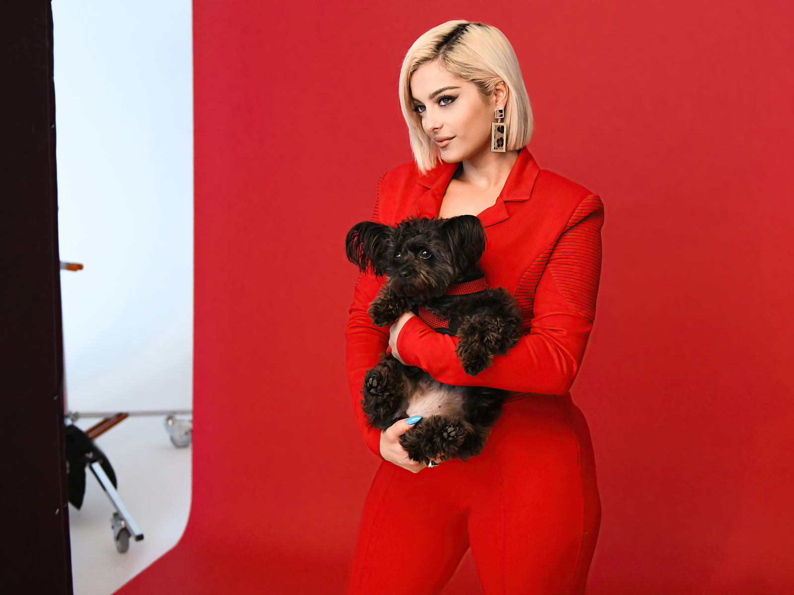 Певица Биби Рекса   с собакой в руках