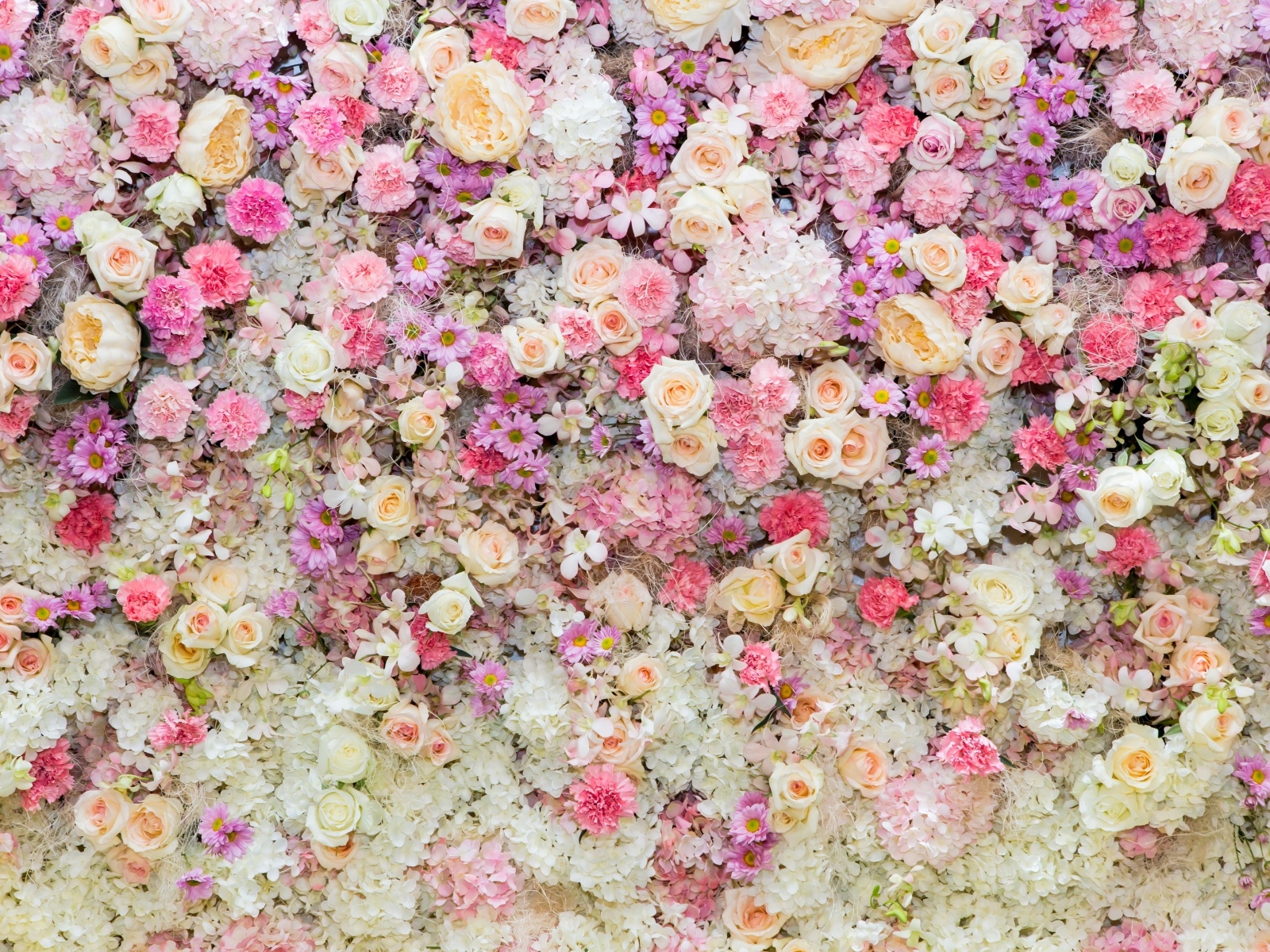 Красивый цветочный фон для фотосессии