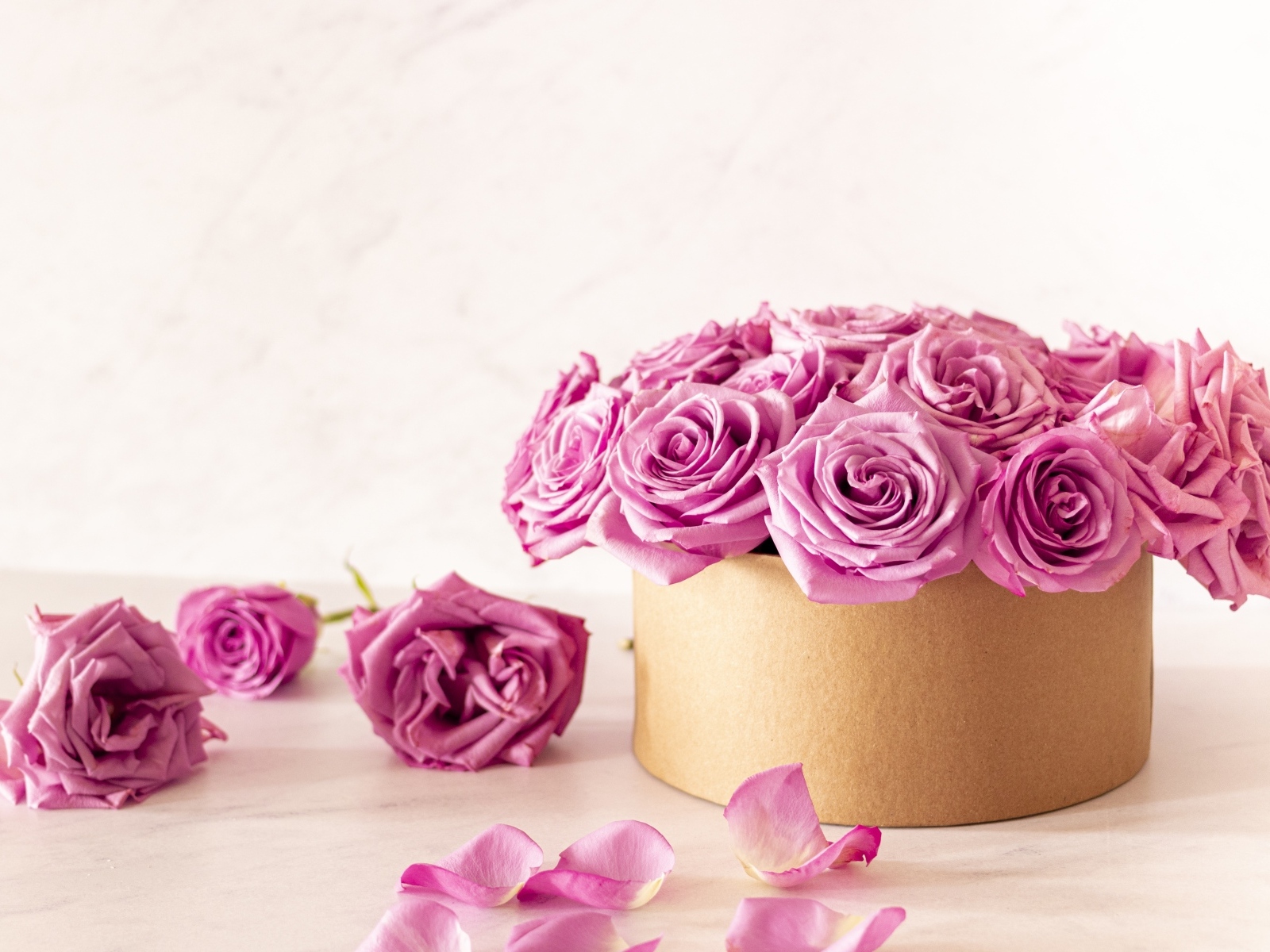 Красивые розовые розы в картонной коробке на белом фоне