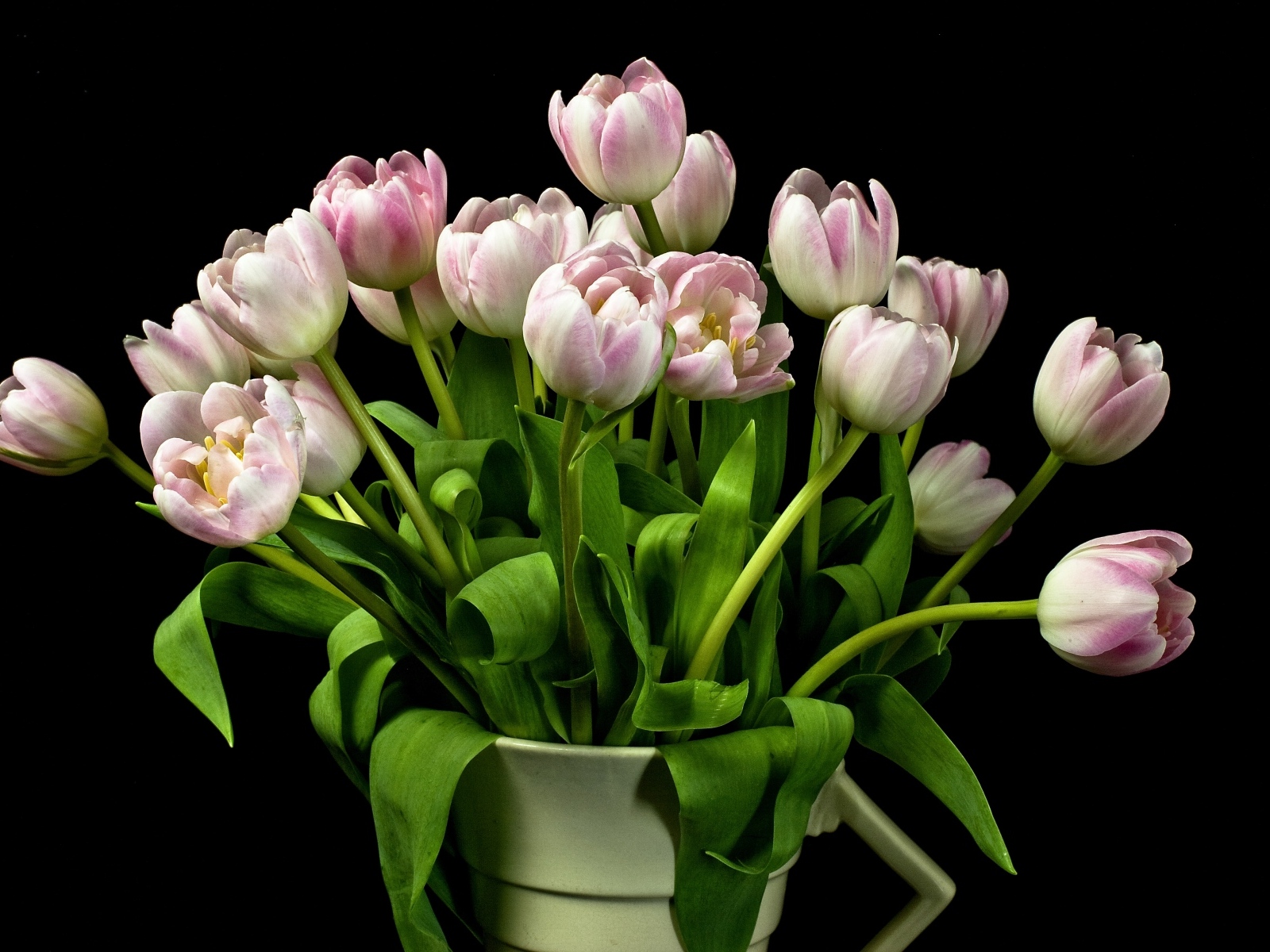 Букет розовых тюльпанов в вазе на черном фоне