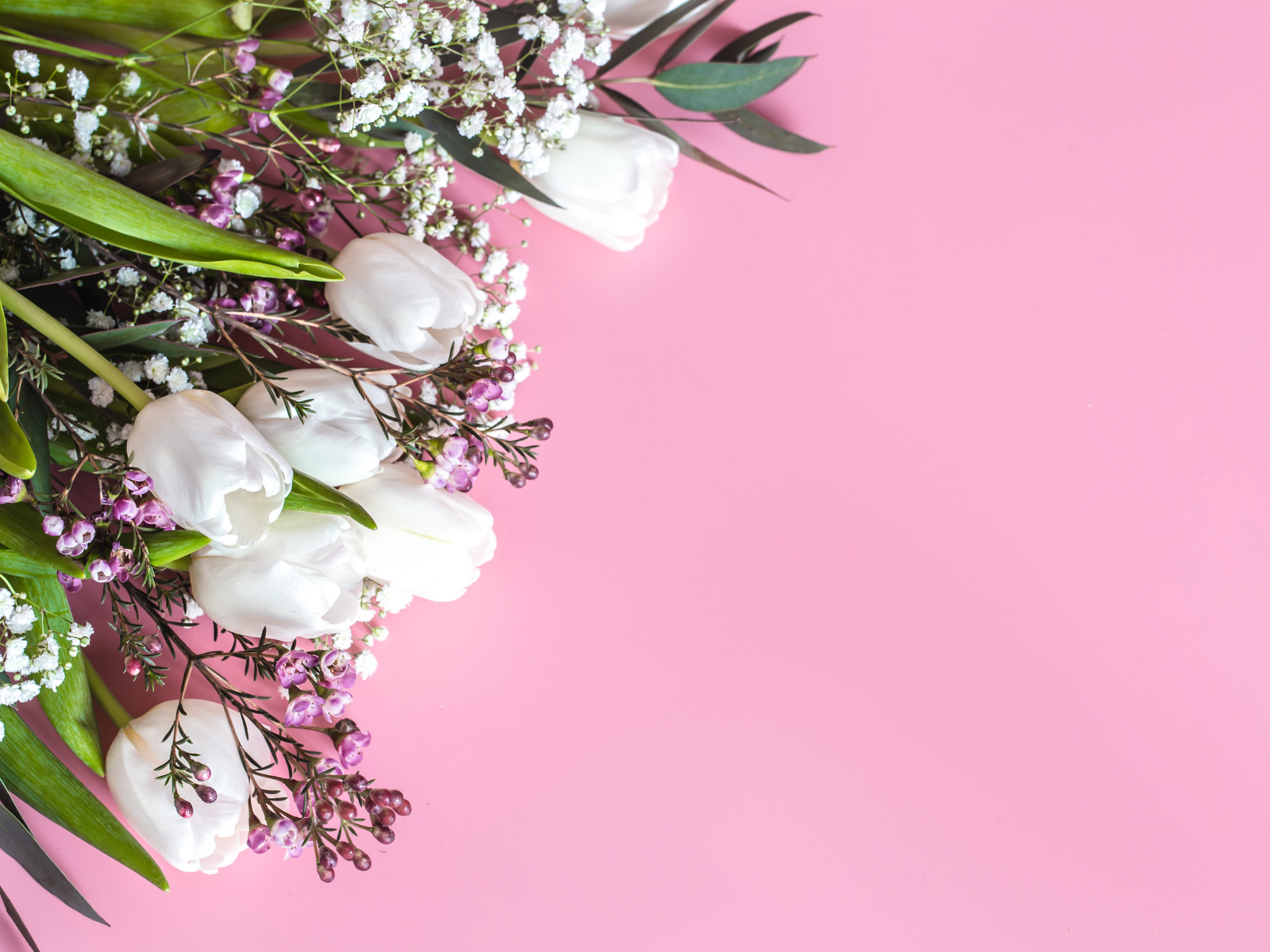 Букет весенних цветов на розовом фоне