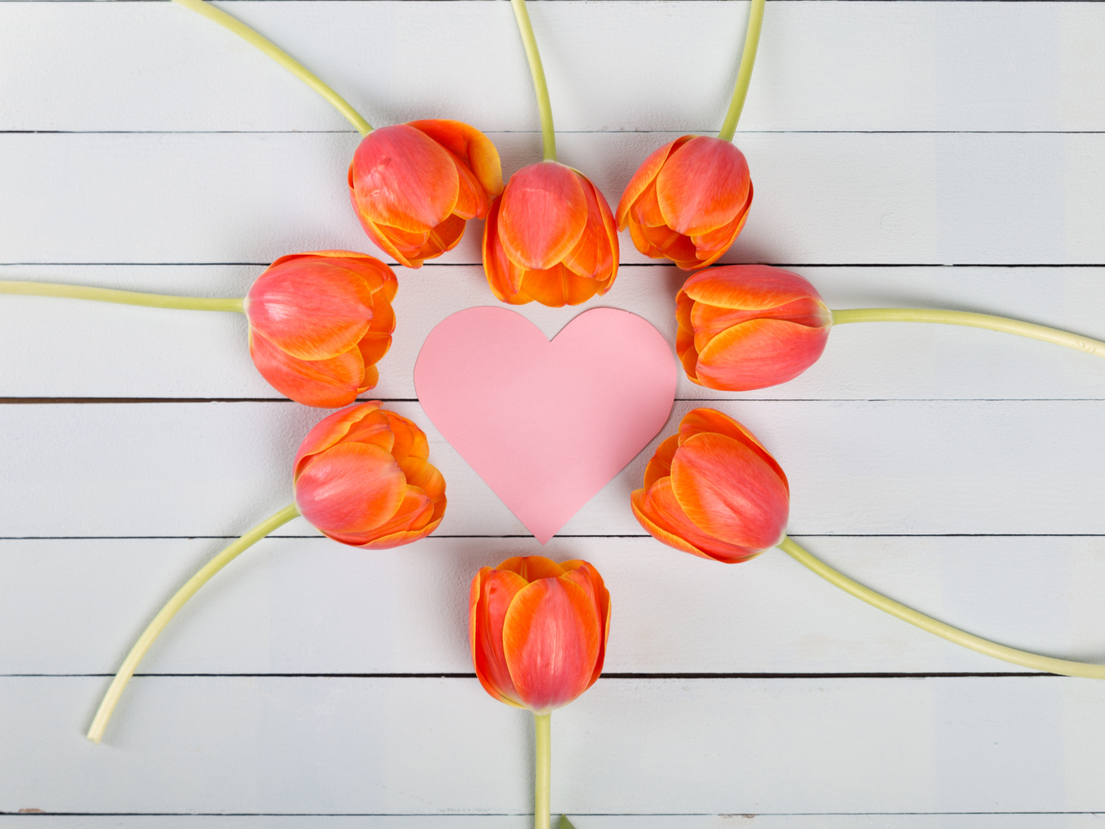 Оранжевые тюльпаны с розовым сердцем на сером столе