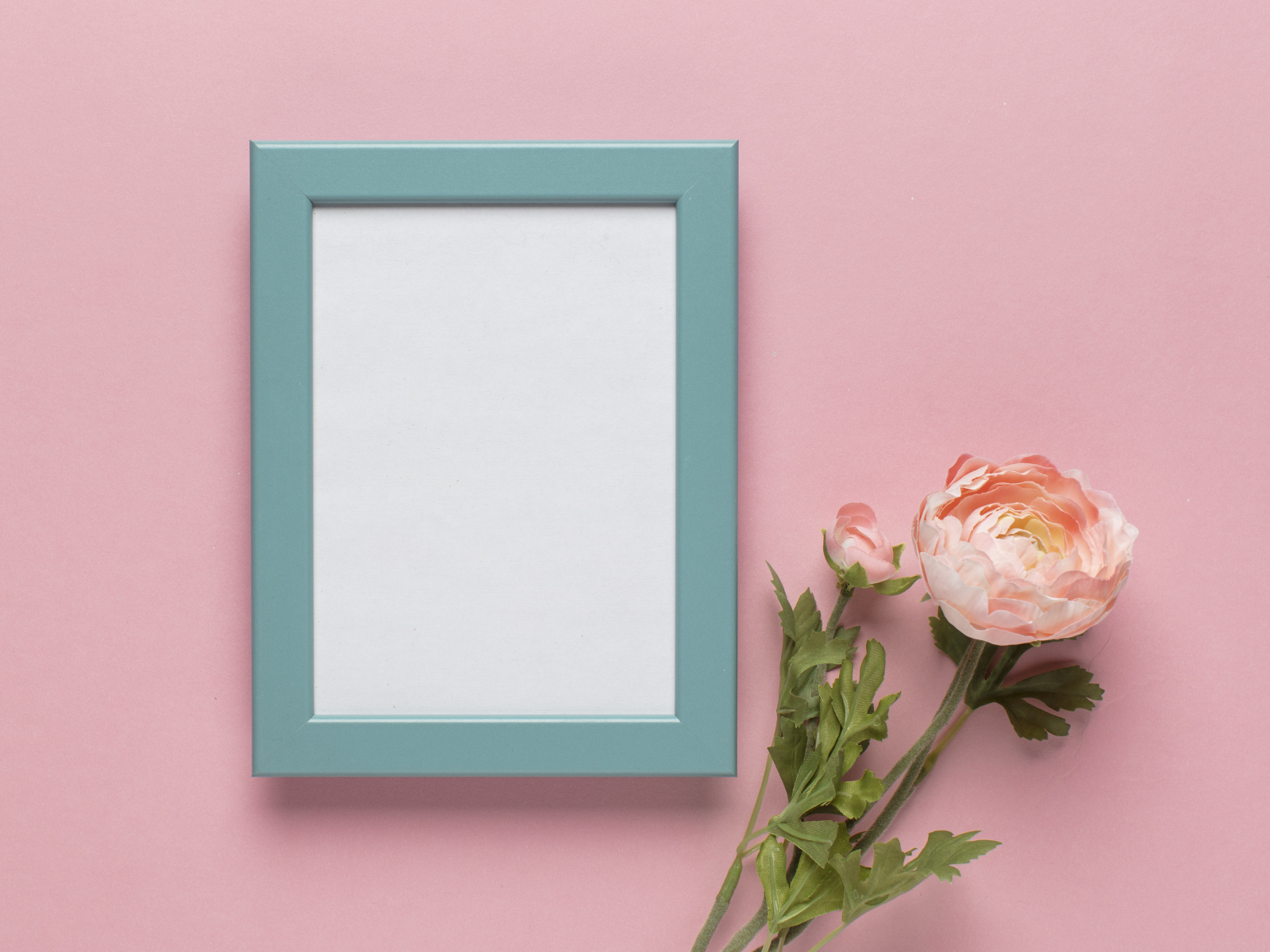 Рамка для фото с цветком лютика на розовом фоне, шаблон