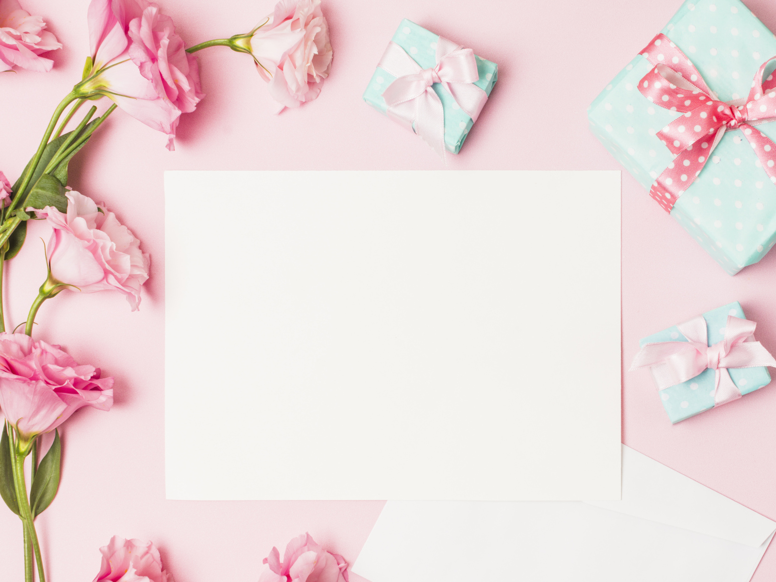 Розовые цветы эустомы с подарками и листом на розовом фоне