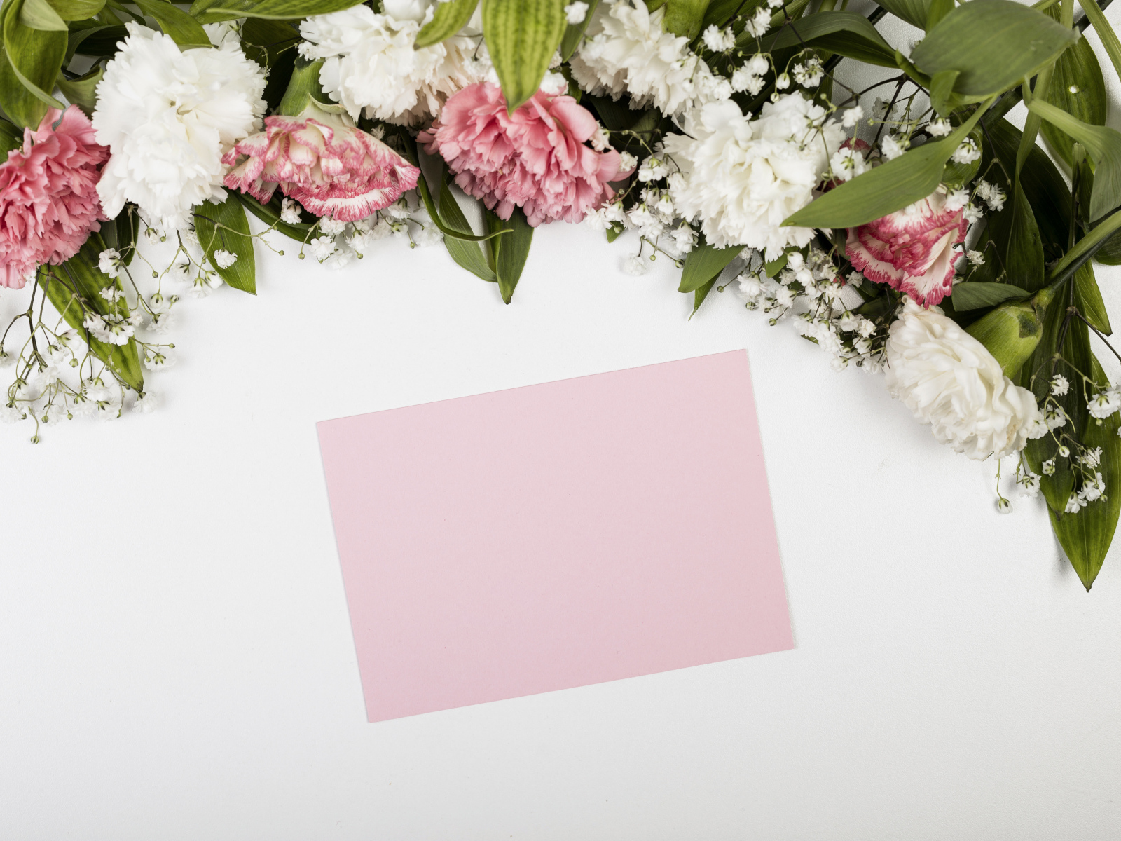 Лист бумаги с цветами гвоздики на сером фоне, шаблон для открытки