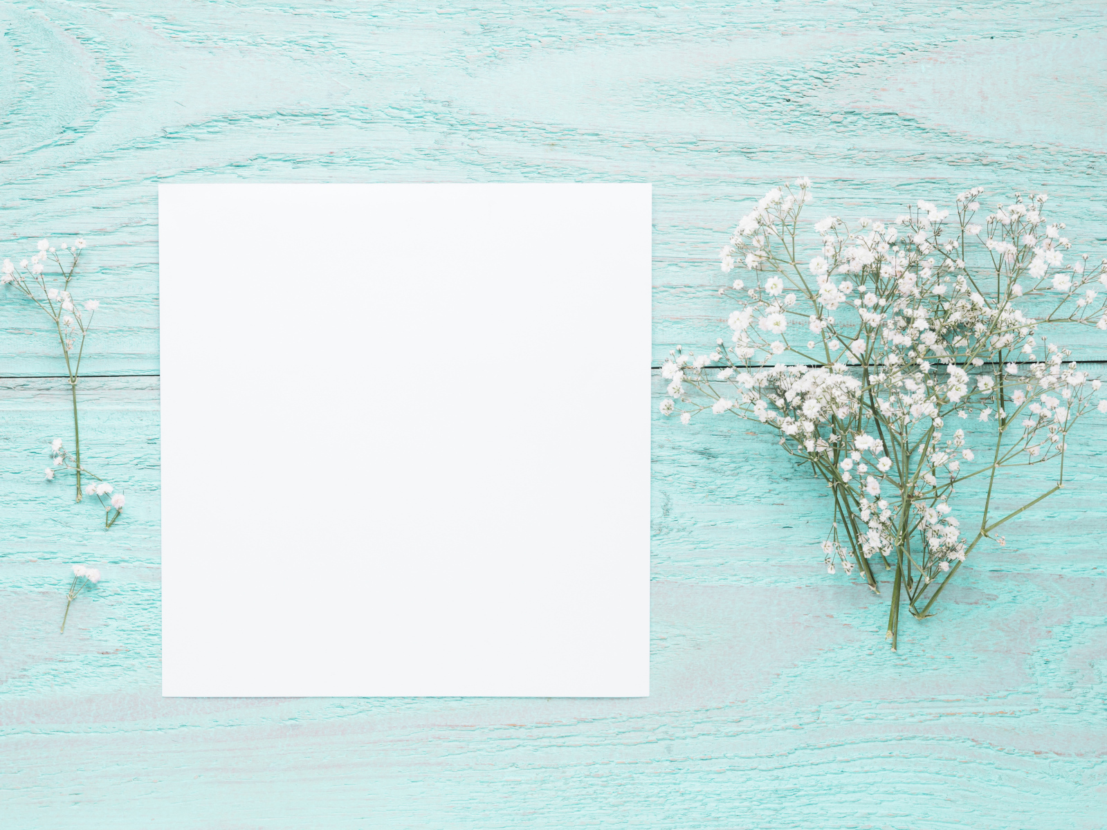 Лист бумаги с белыми цветами гипсофилы на голубом столе