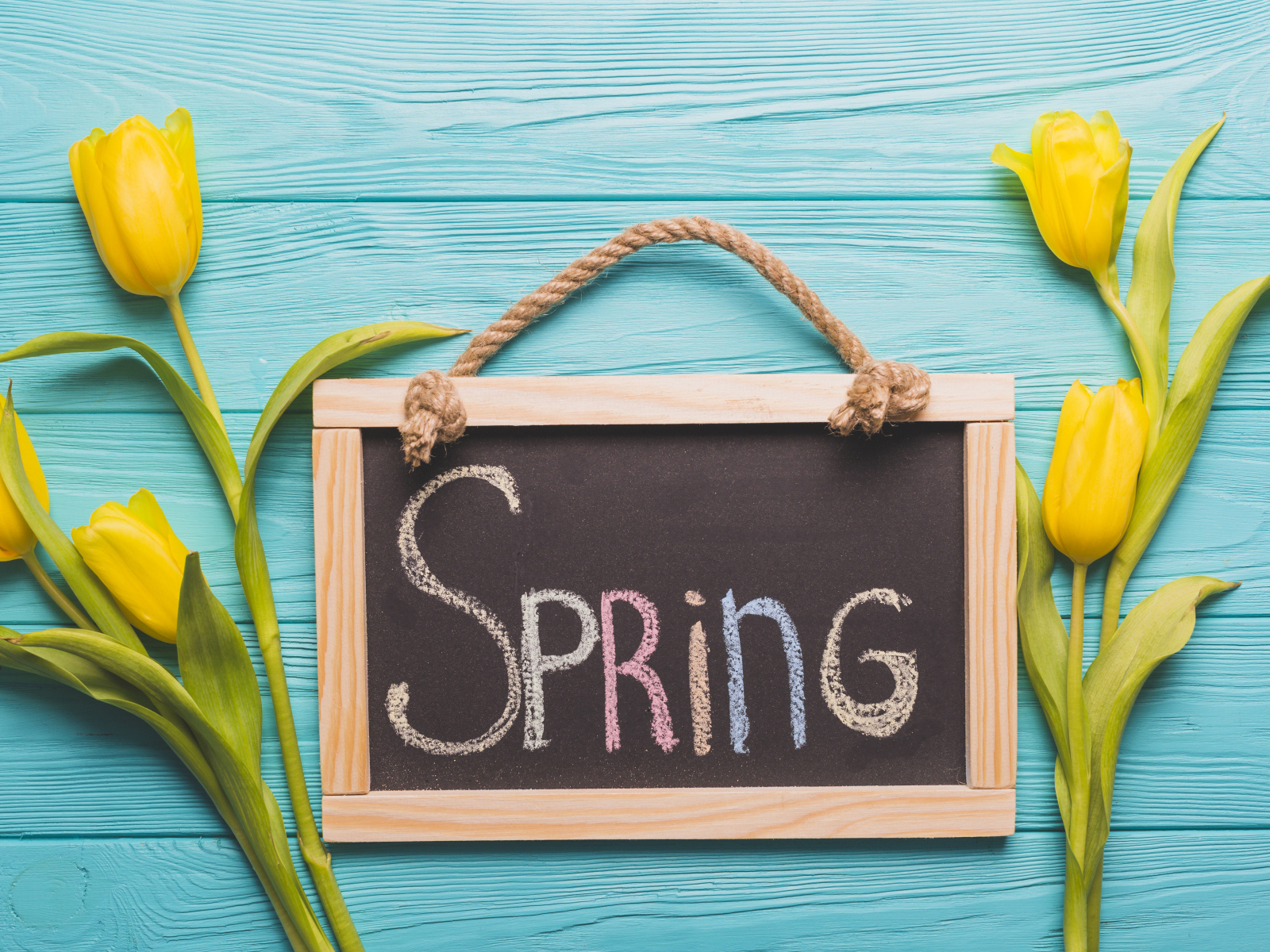 Желтых тюльпаны на голубом фоне с рамкой с надписью весна