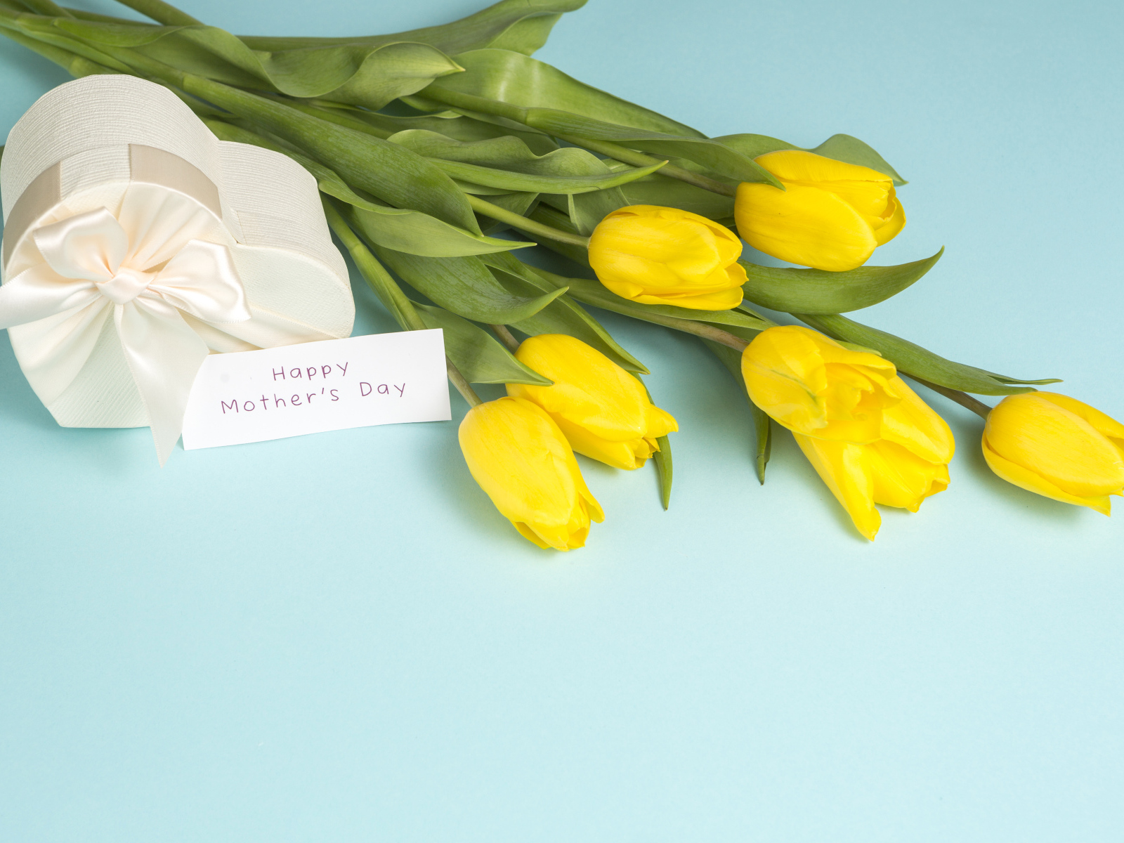 Желтые тюльпаны с подарком на голубом фоне на день матери