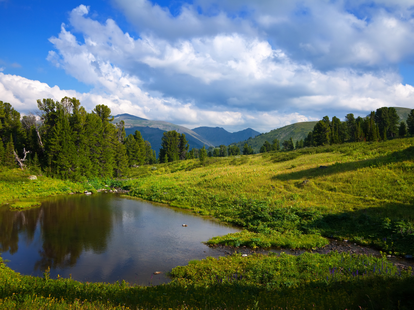 Живописная зеленая горная природа