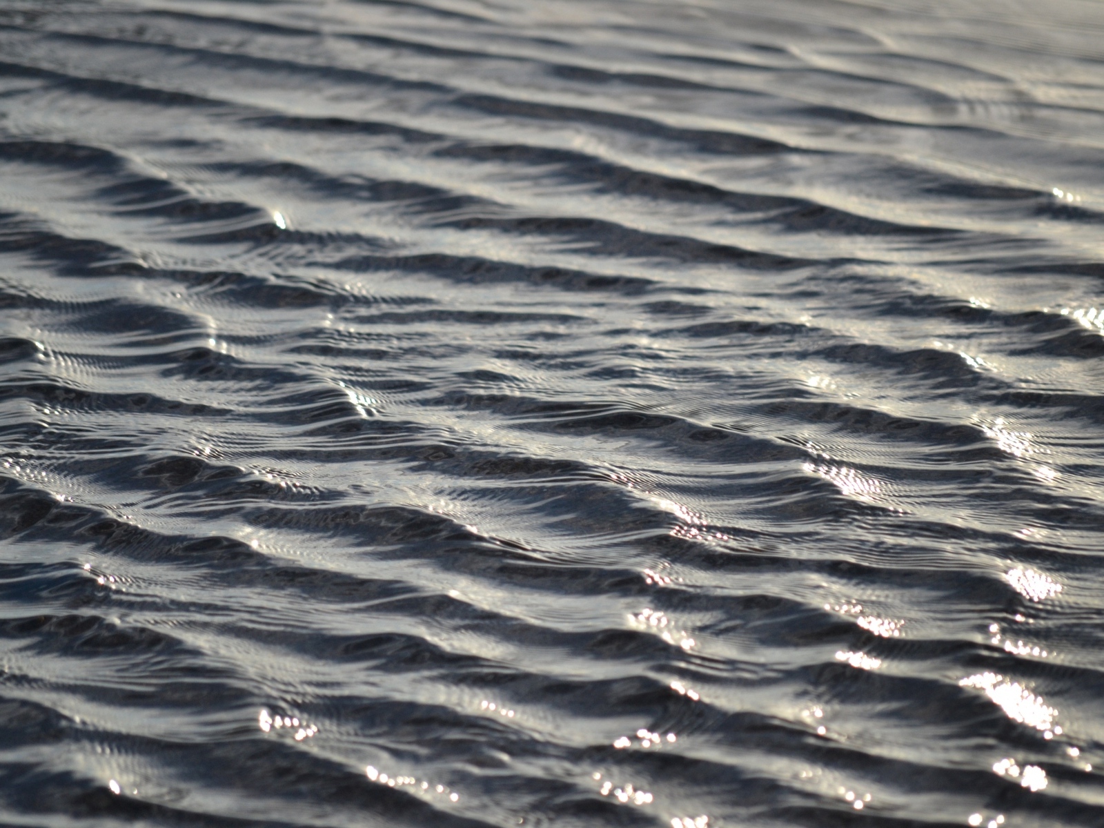 Спокойные волны на речной воде