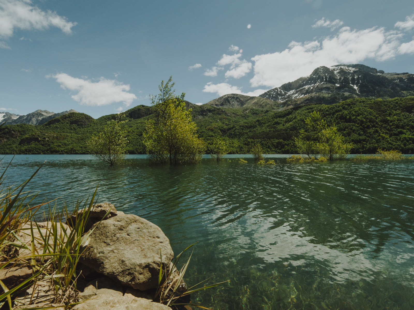 Зеленая вода в реке на фоне гор 