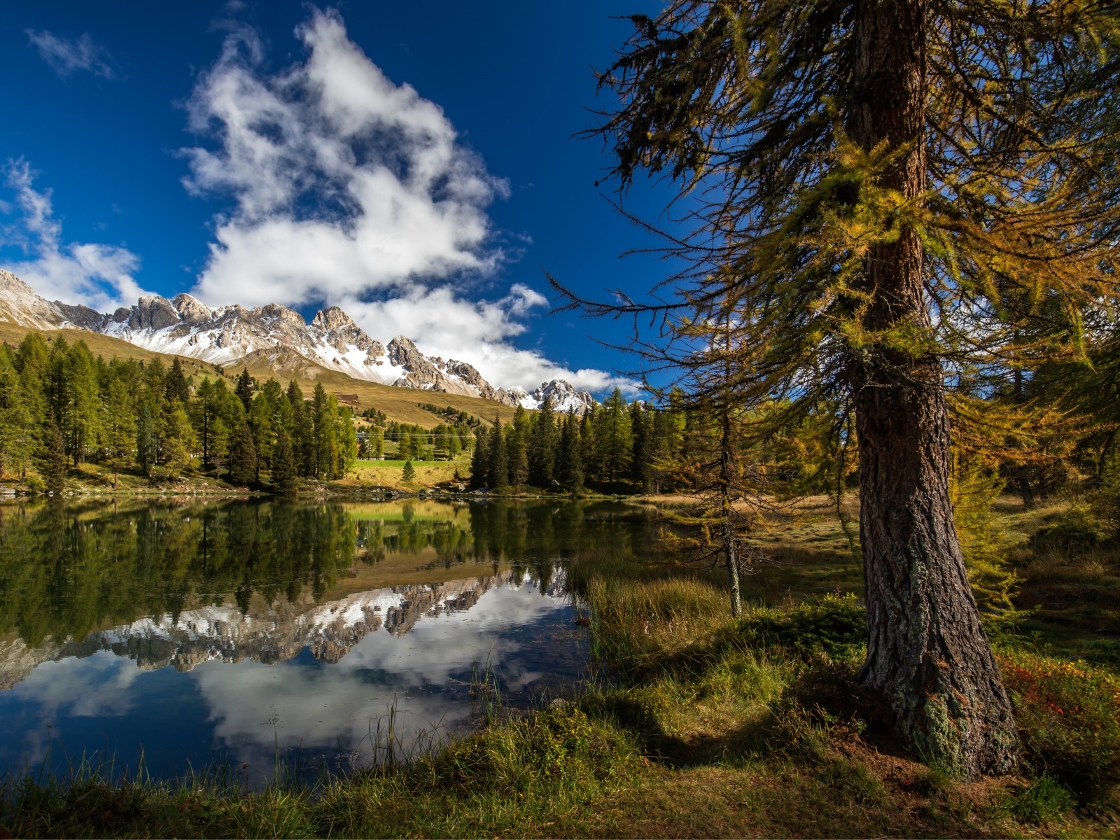 Озеро в горах с высокими елями под голубым небом