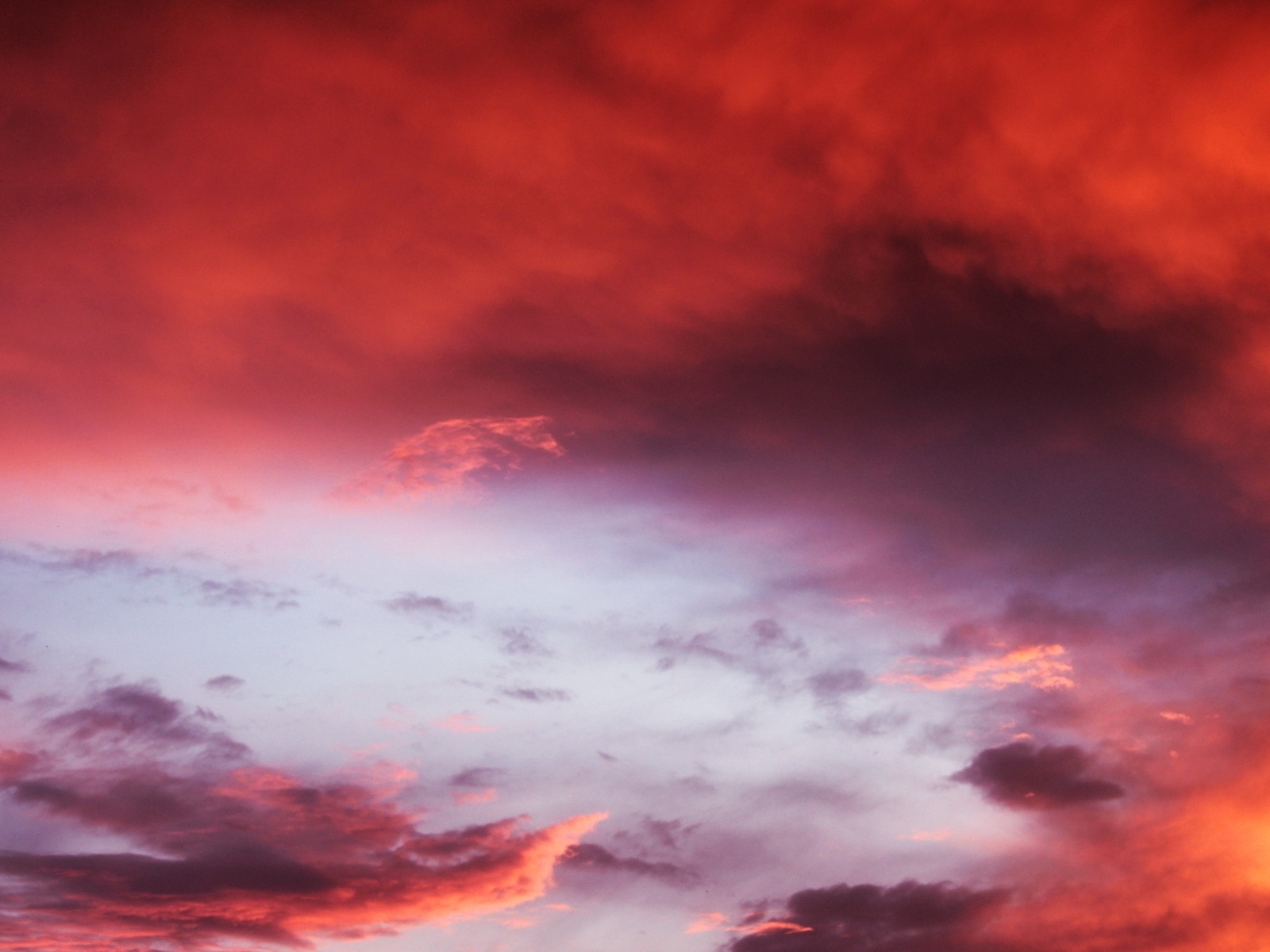 Красивые розовые облака в небе 