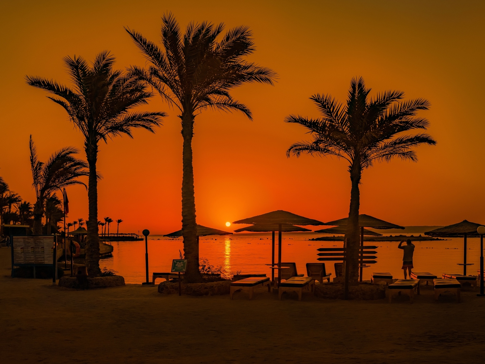 Закат солнца над морем на фоне пальм