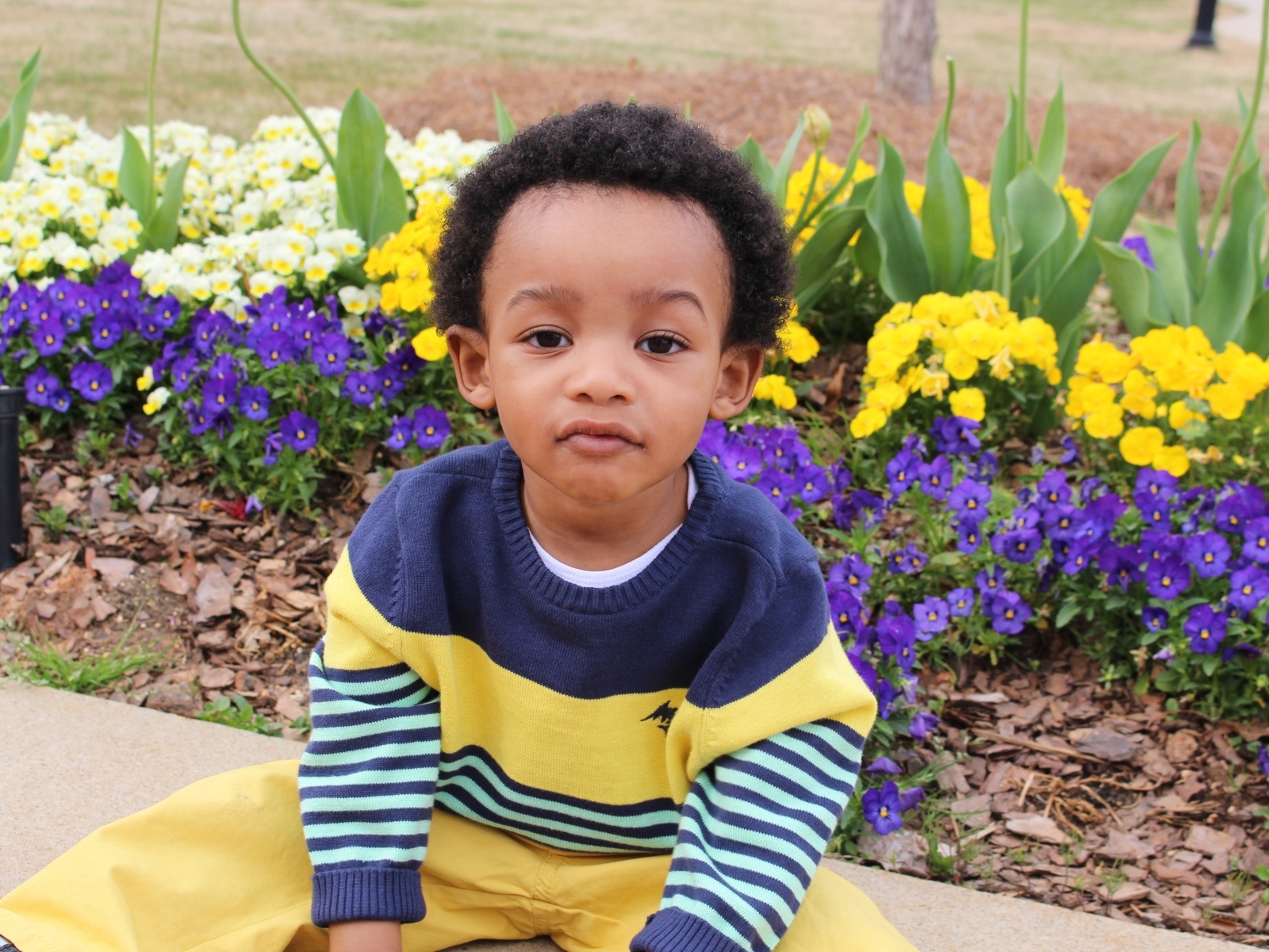 Темнокожий мальчик у клумбы с цветами 