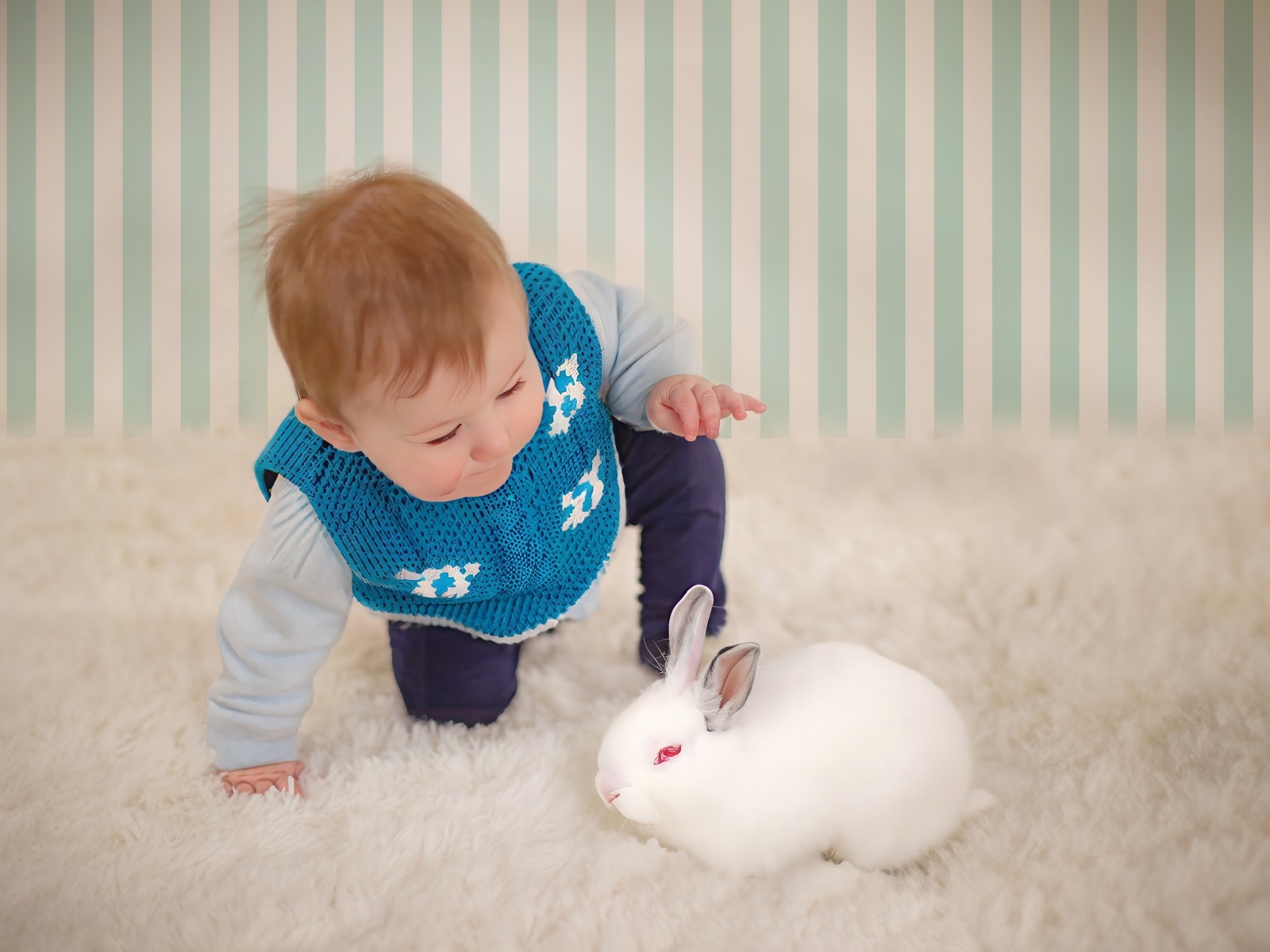 Смешной маленький мальчик с белым кроликом