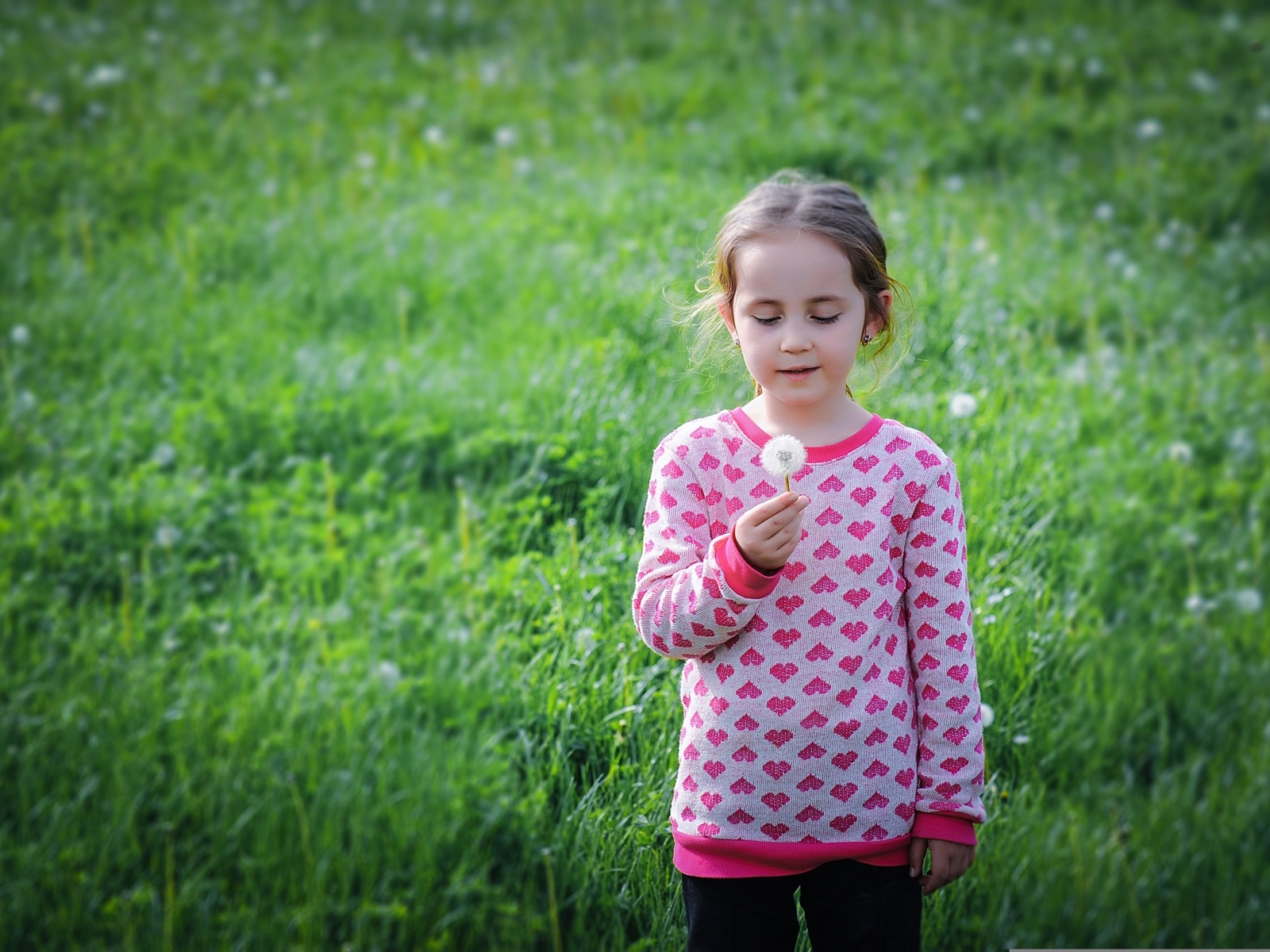 Девочка с одуванчиком на поле с зеленой травой