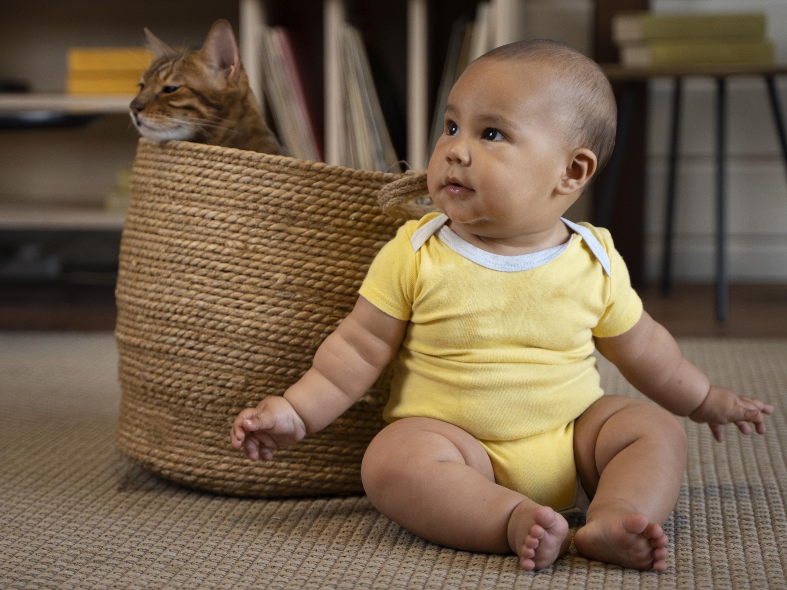 Маленький забавный ребенок с котом в корзине