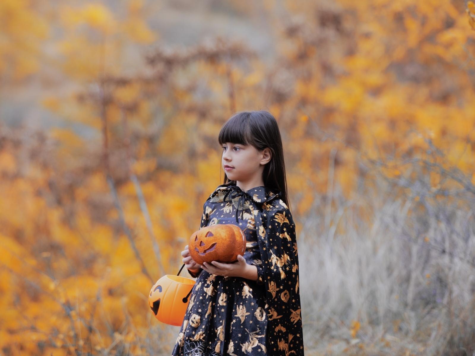 Маленькая девочка с тыквами в осеннем парке