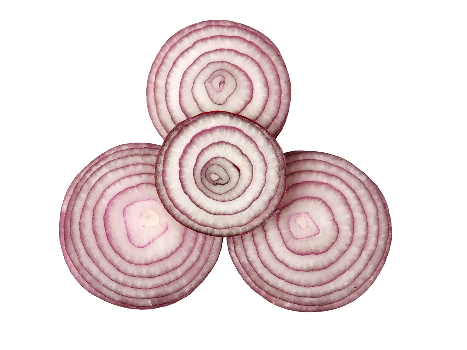 Кольца красного лука на белом фоне крупным планом