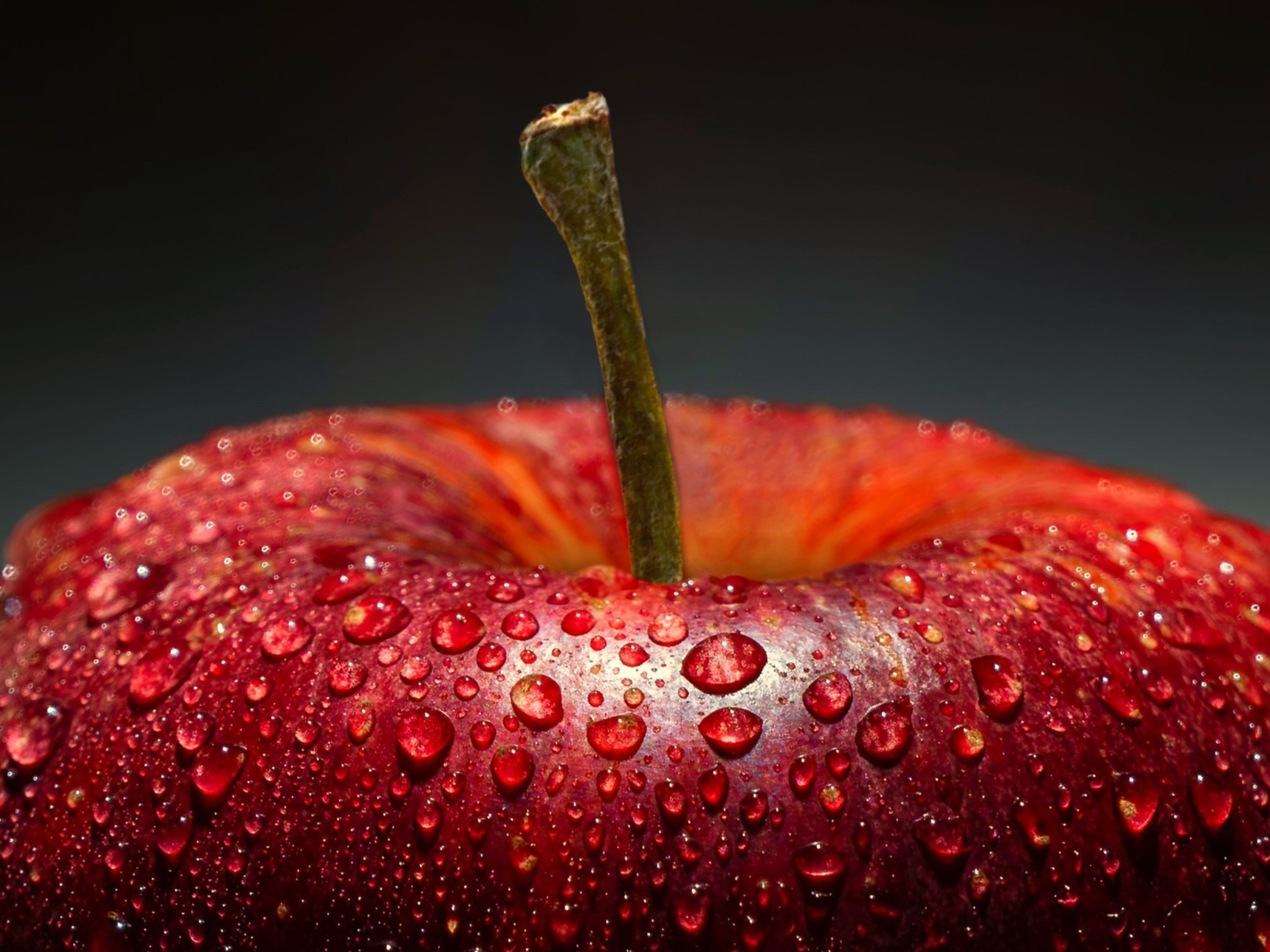 Красное яблоко в каплях воды на сером фоне