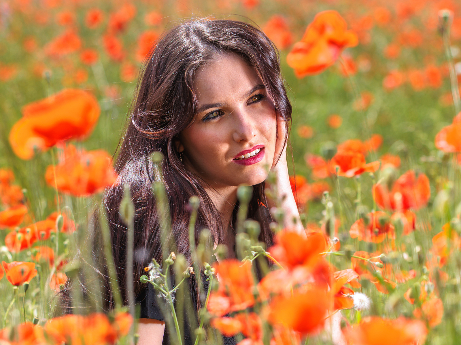 Молодая кареглазая девушка лежит на поле с красными маками