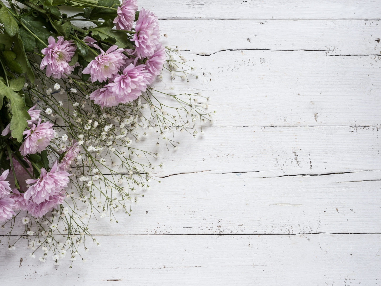 Букет розовых цветов хризантемы и белых цветов гипсофилы