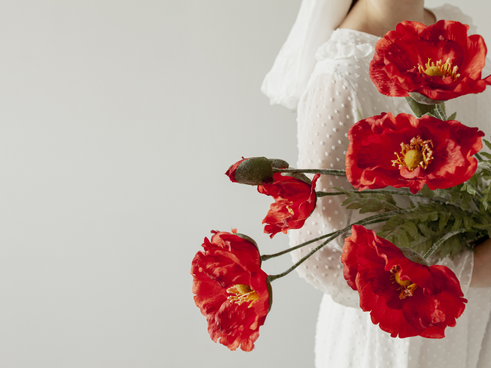 Красные маки в руках у девушки