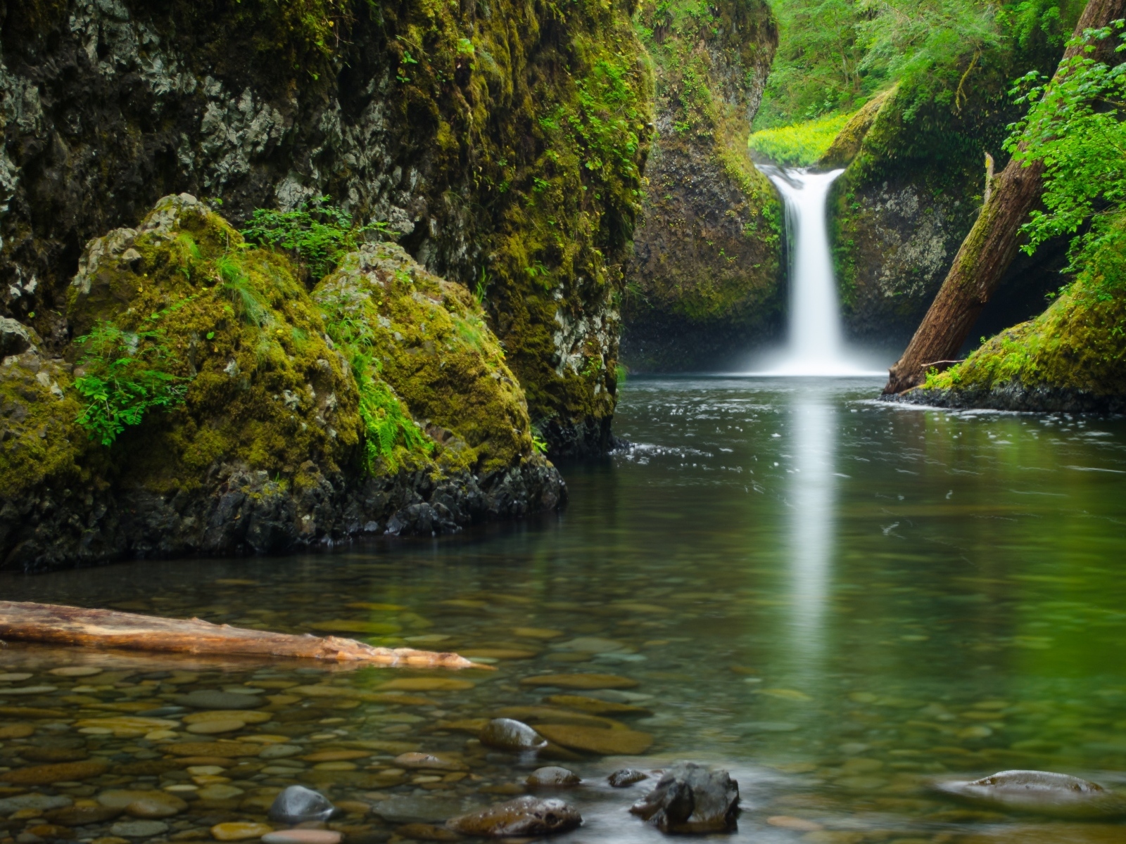 Водопад стекает по покрытым зеленым мхом скалам
