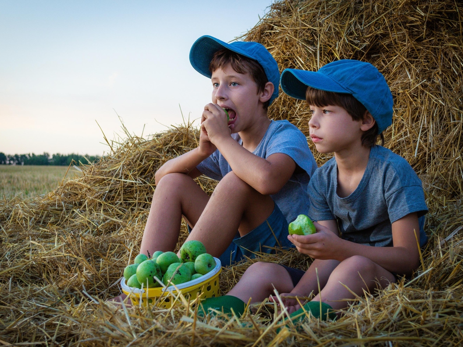 Два маленьких мальчика с зелеными яблоками у стога сена