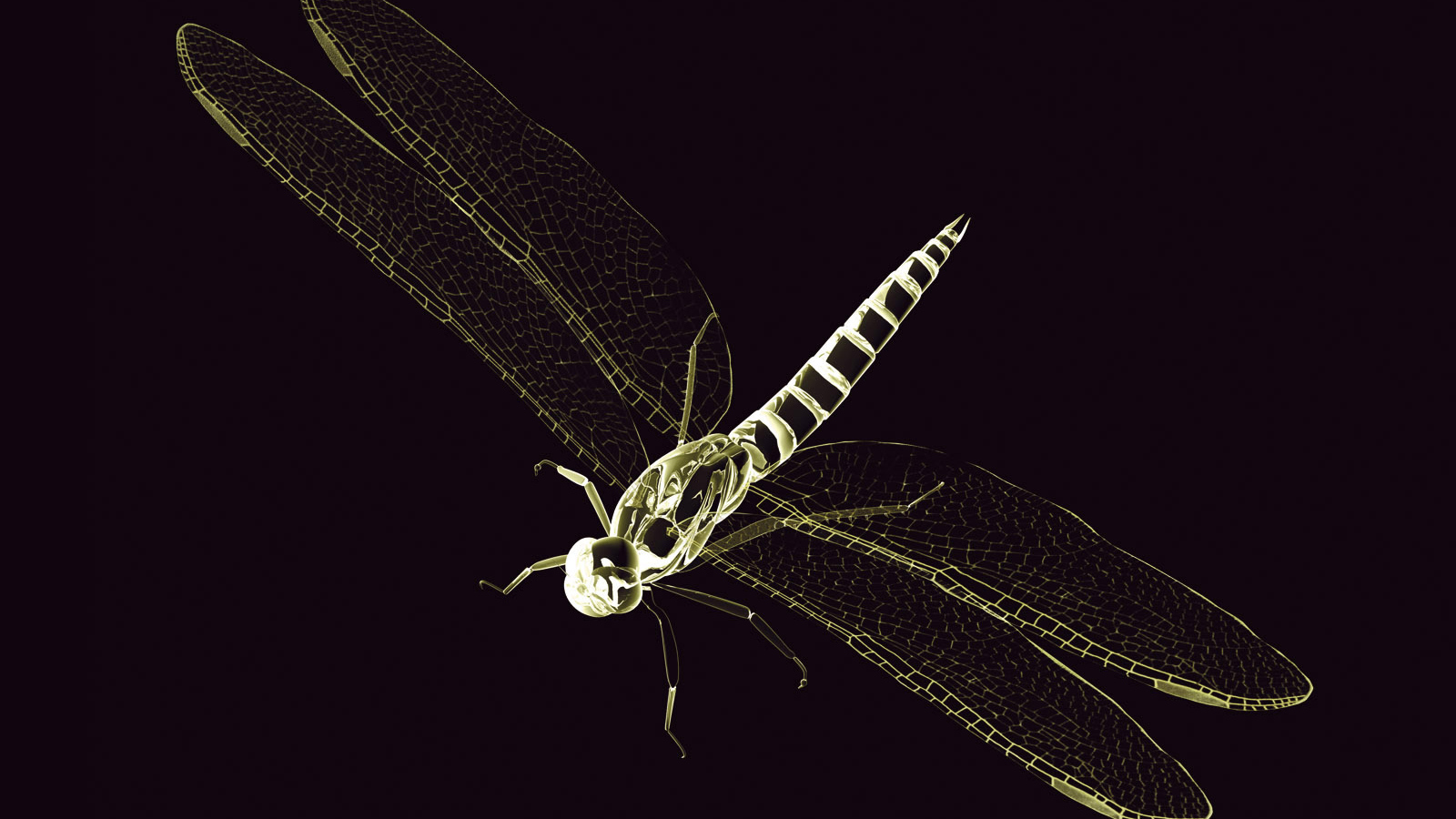 3D стрекоза