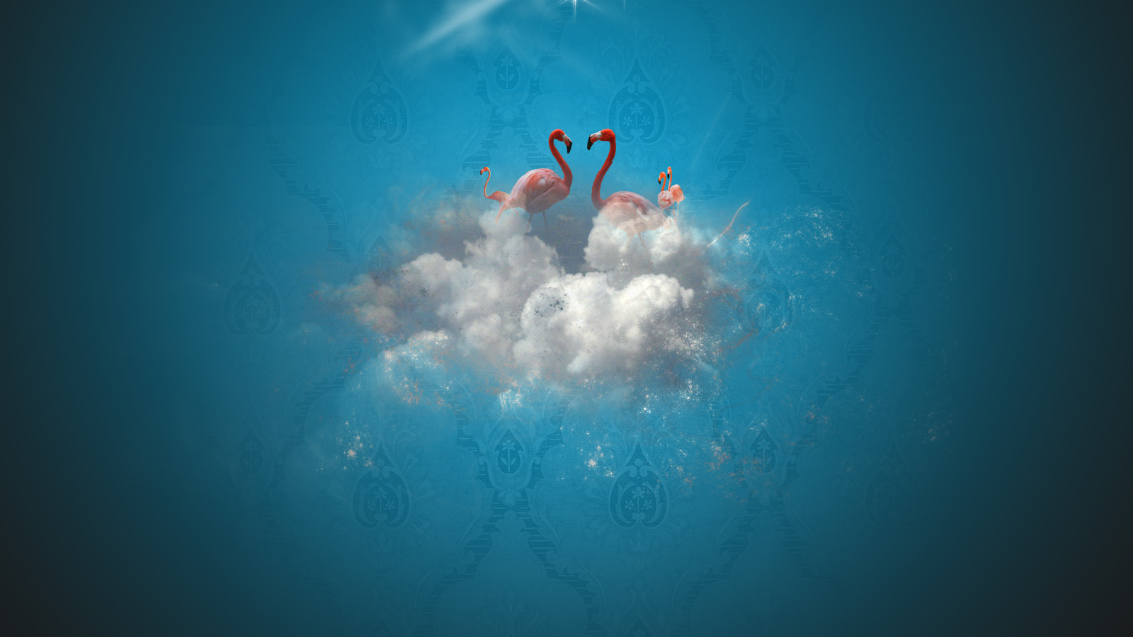 Рай фламинго