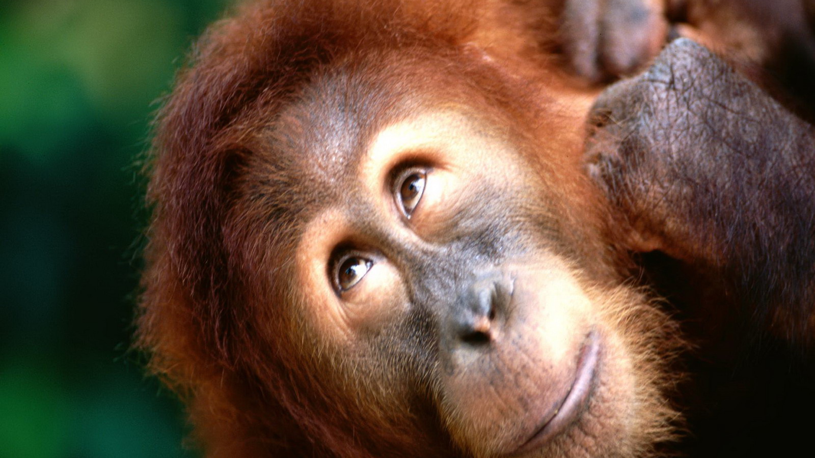 Взгляд вверх