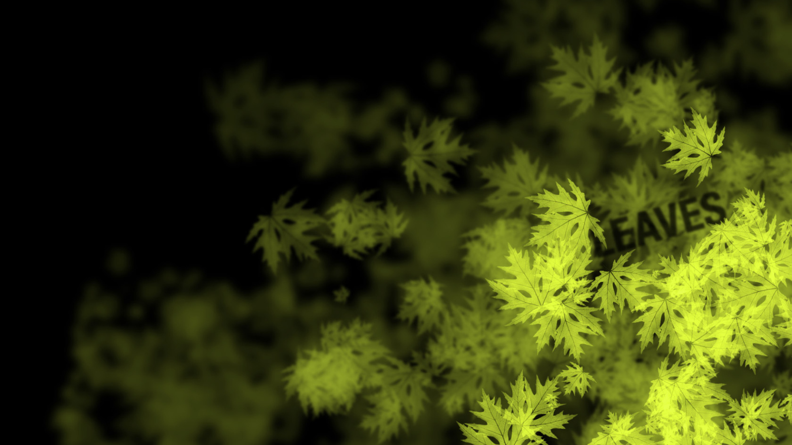 Кленовые листья