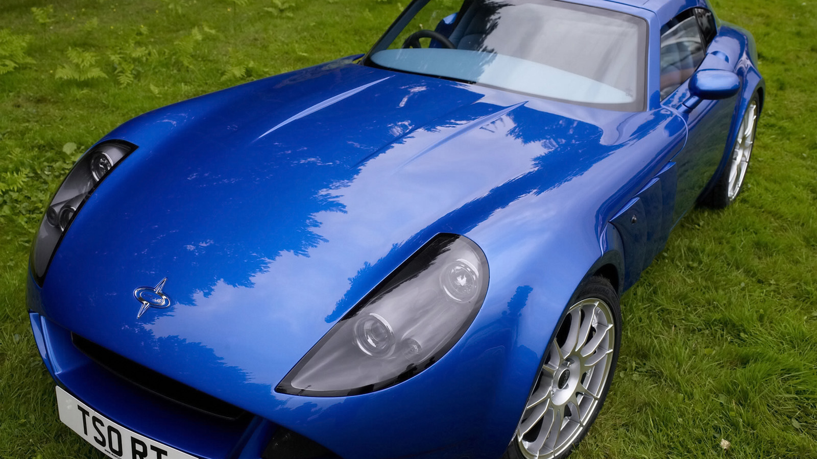 Синий Marcos TSO