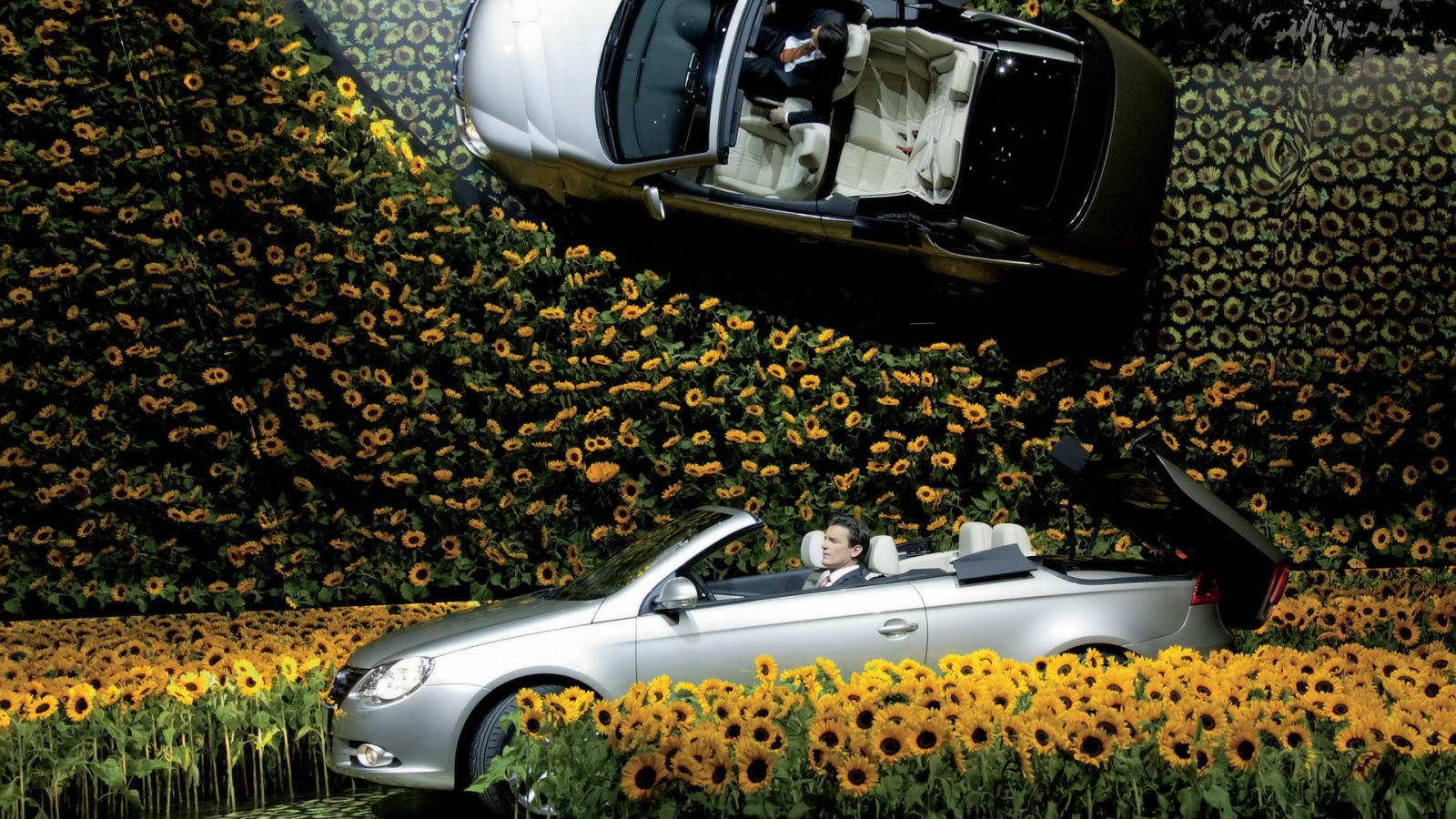 Volkswagen в цветах