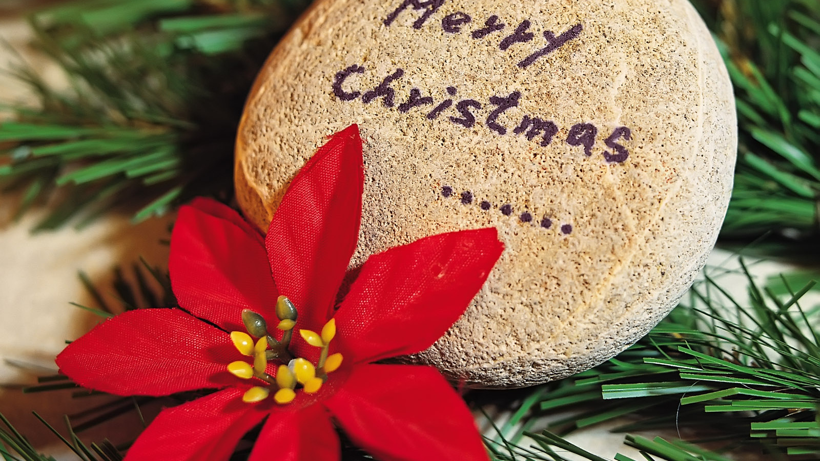 С праздником / Рождество