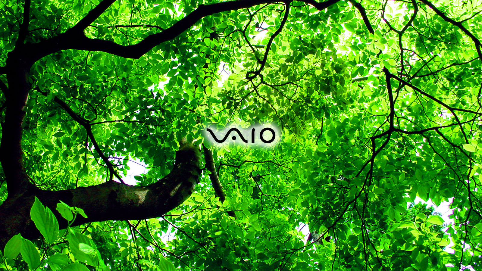 Производитель лоптопов Sony